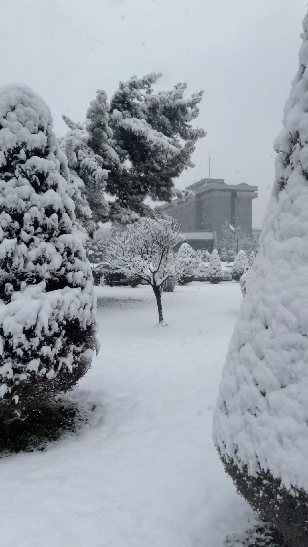 WINTER UZBEKISTAN | 7 DAYS NEW YEAR & SNOW EXPERIENCE-11