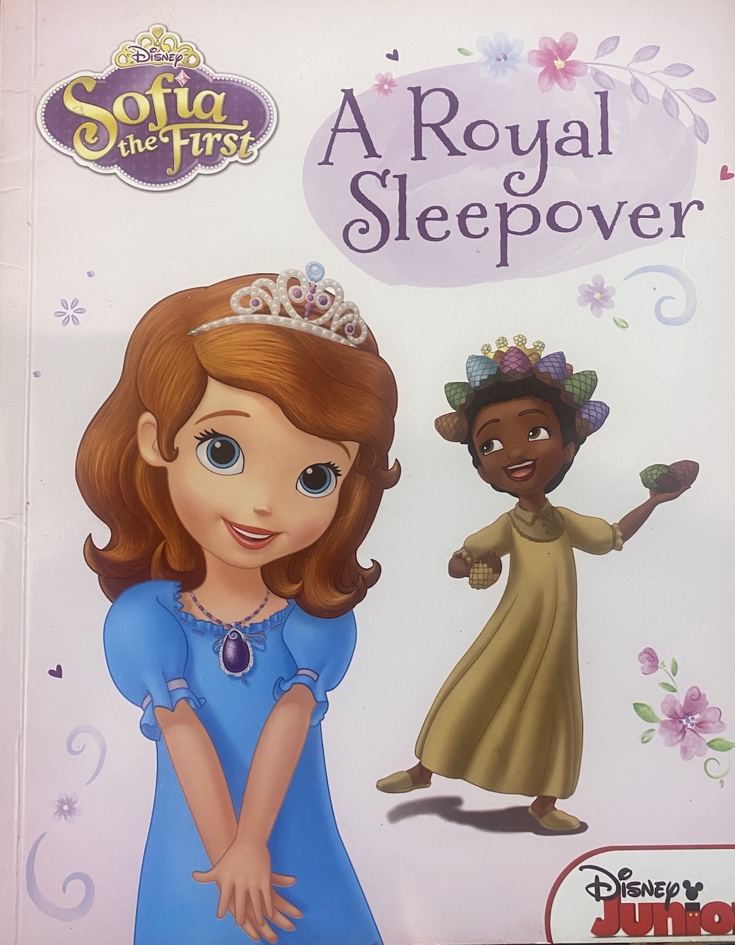 Sofia the First: A Royal Sleepover
