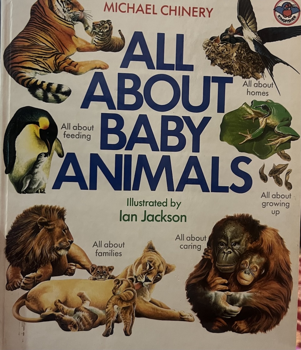 All About Baby Animals