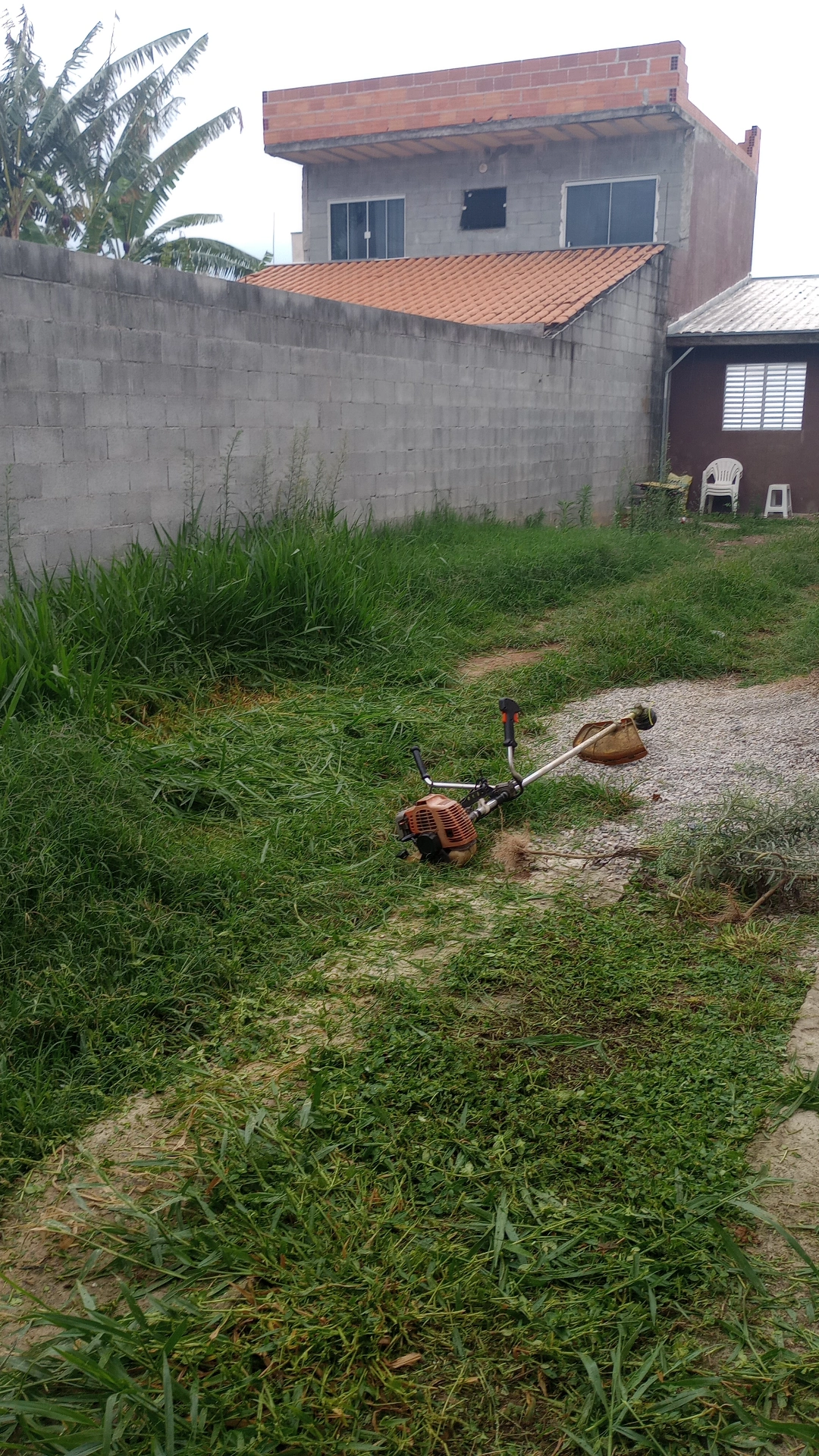 Limpeza de terreno