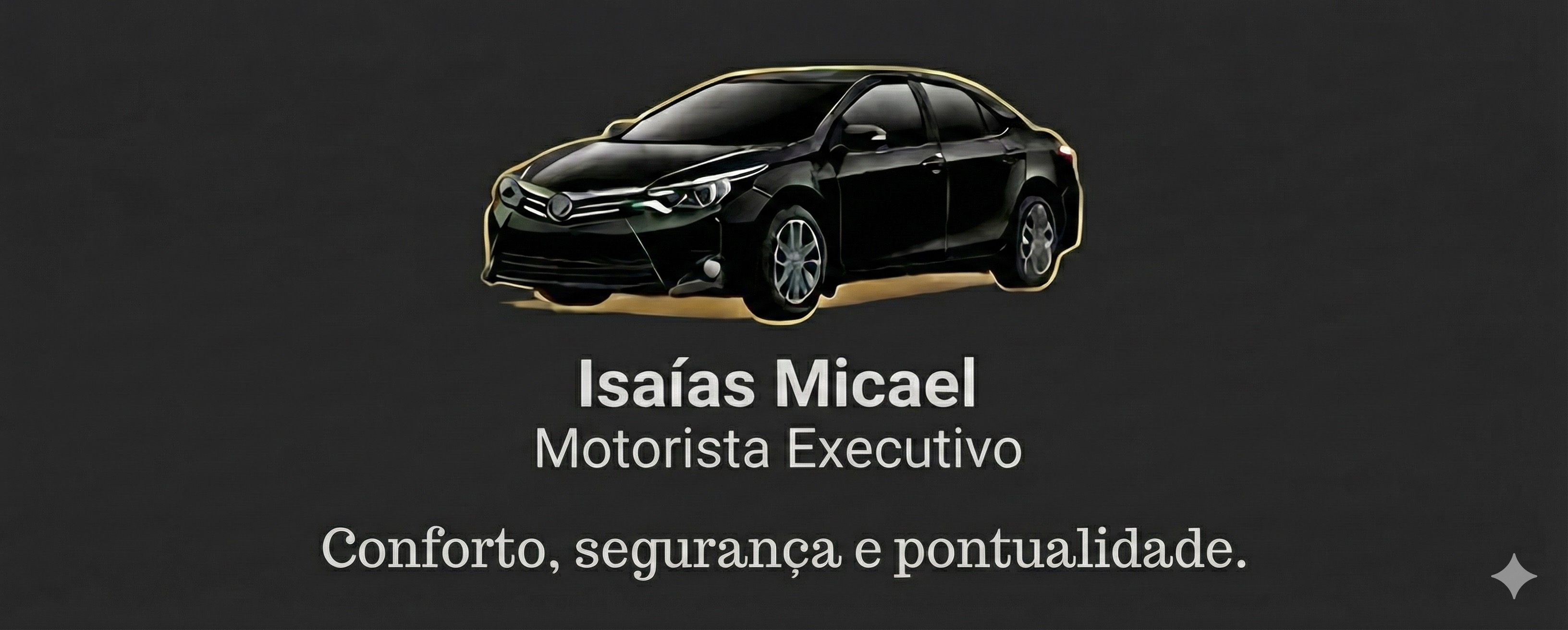 Motorista executivo