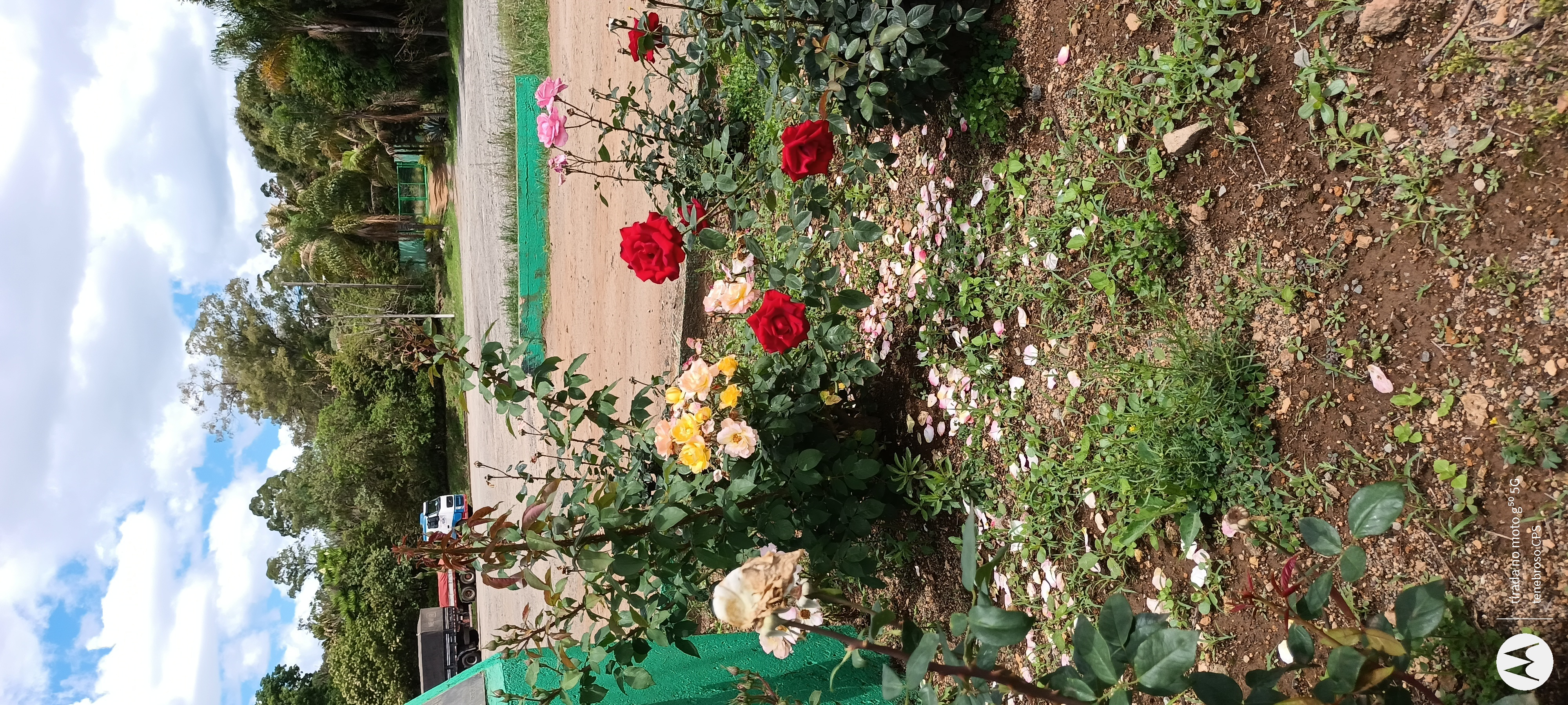 Jardinagem & serralheiro