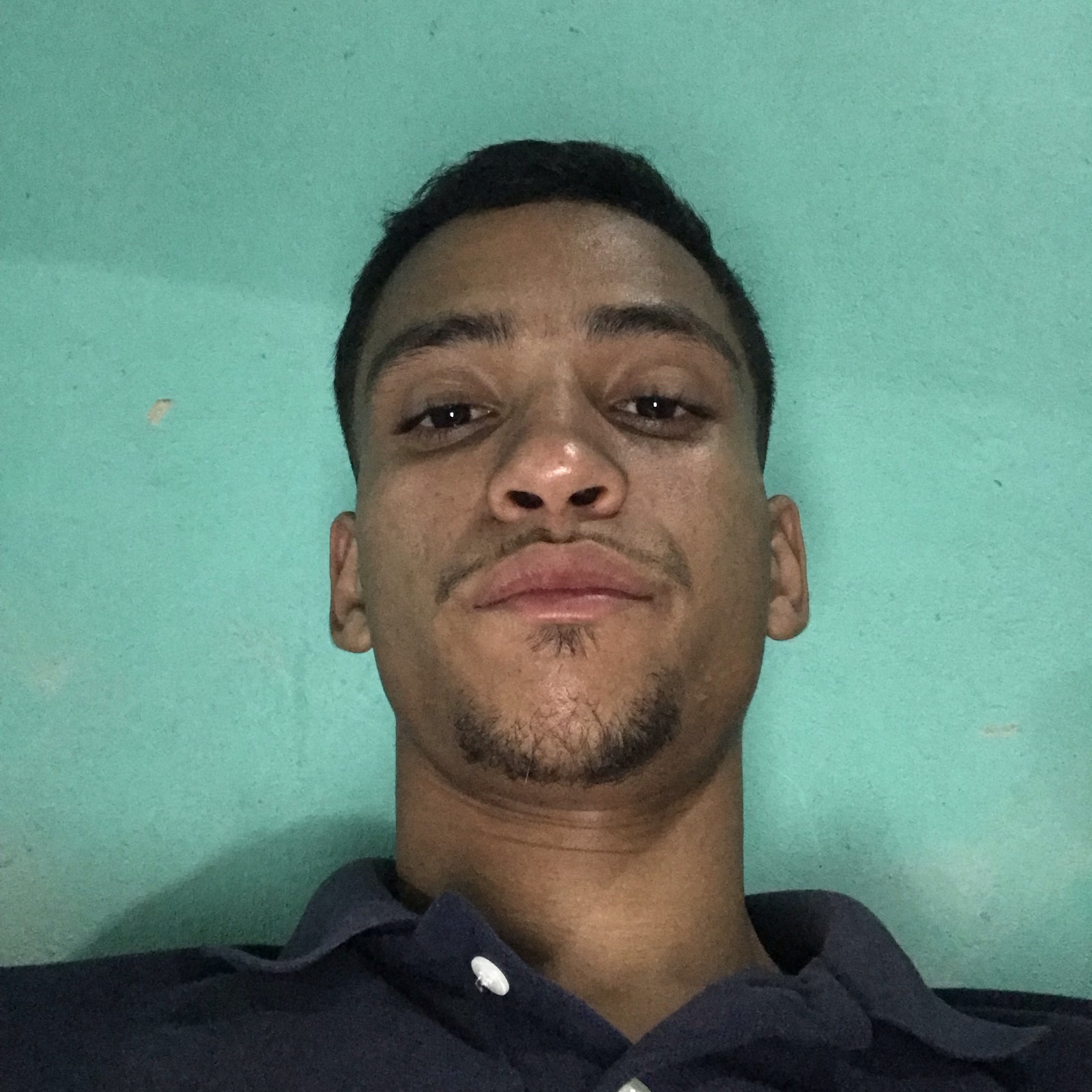 Bruno Araújo carvalho