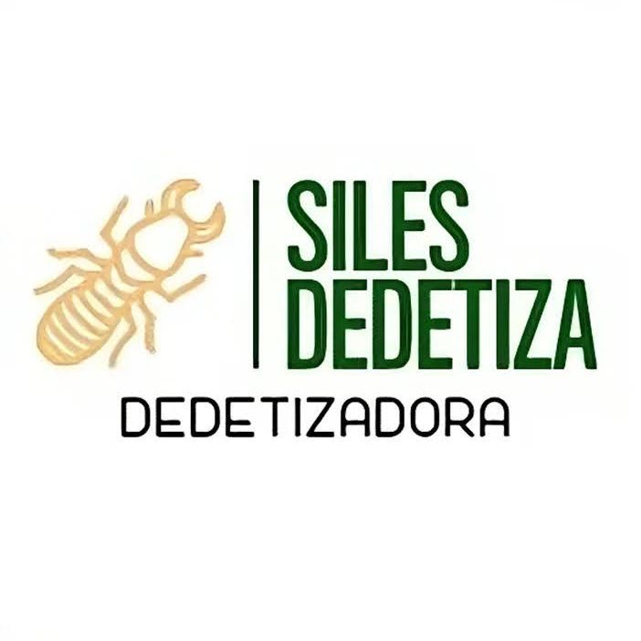 Felipe Queiroz siles