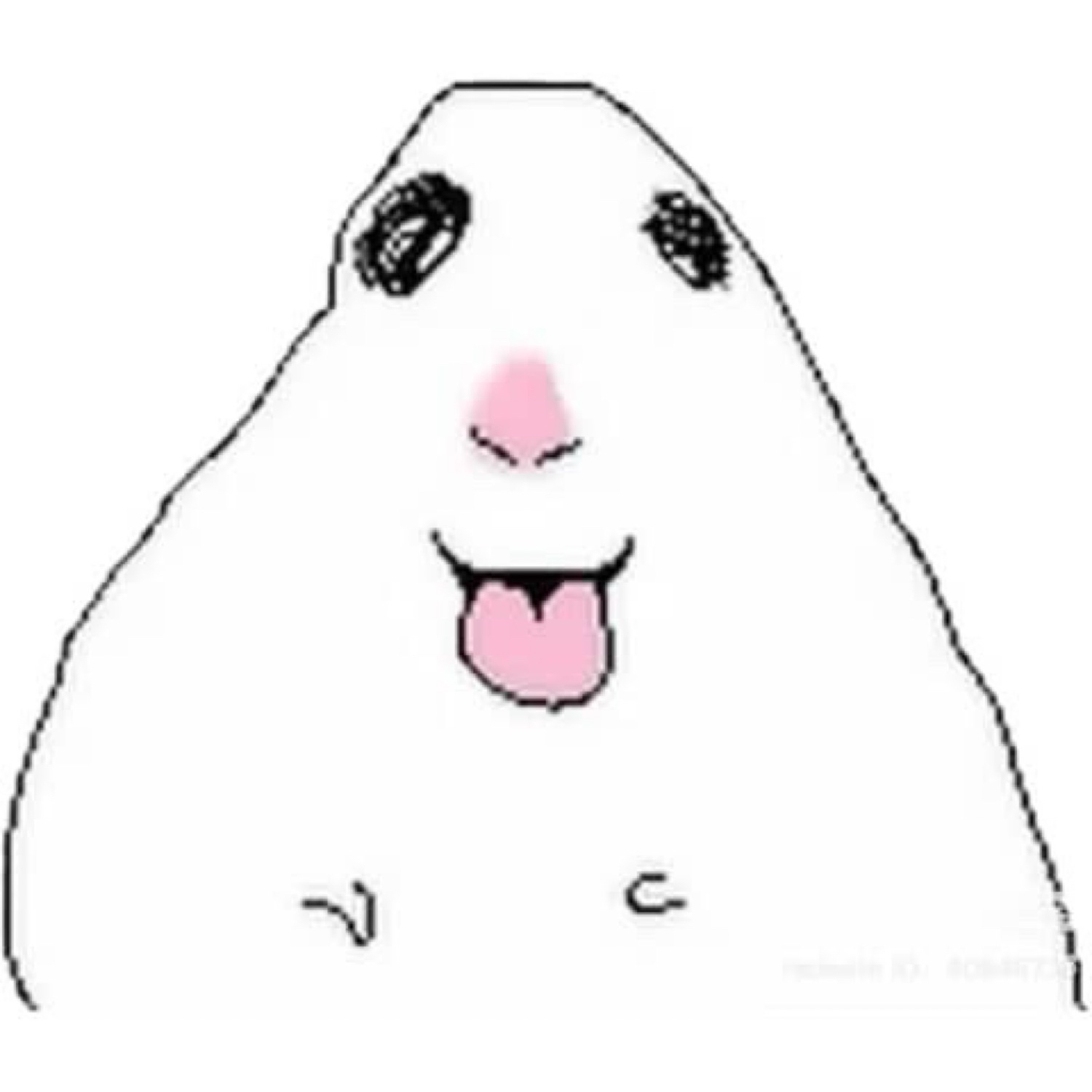 Ashton Copeland's profile photo