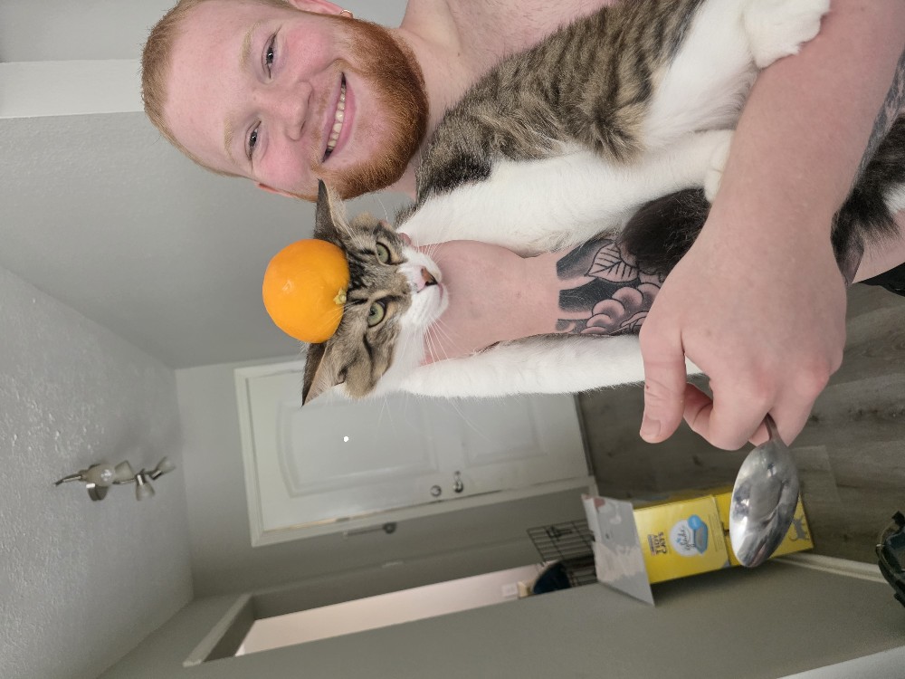 marek Montgomery's profile photo