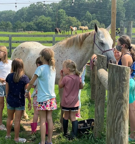 Strouds Creek Farm