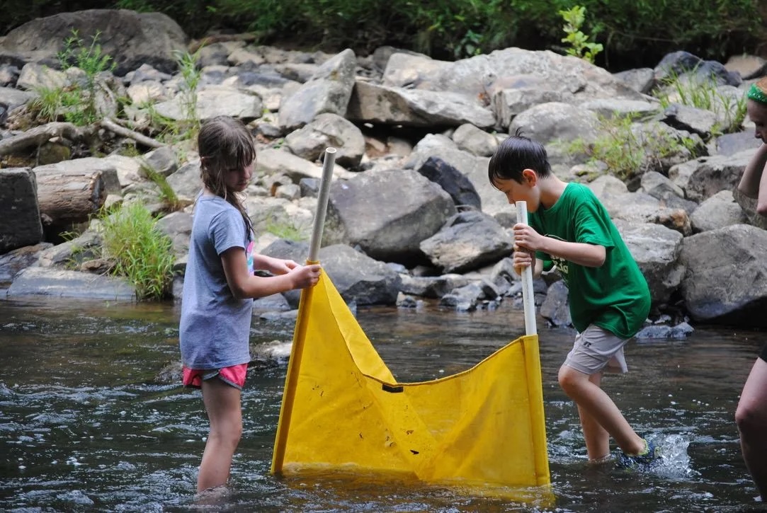 Getting to know riverine ecosystems at iWalk the Eno.