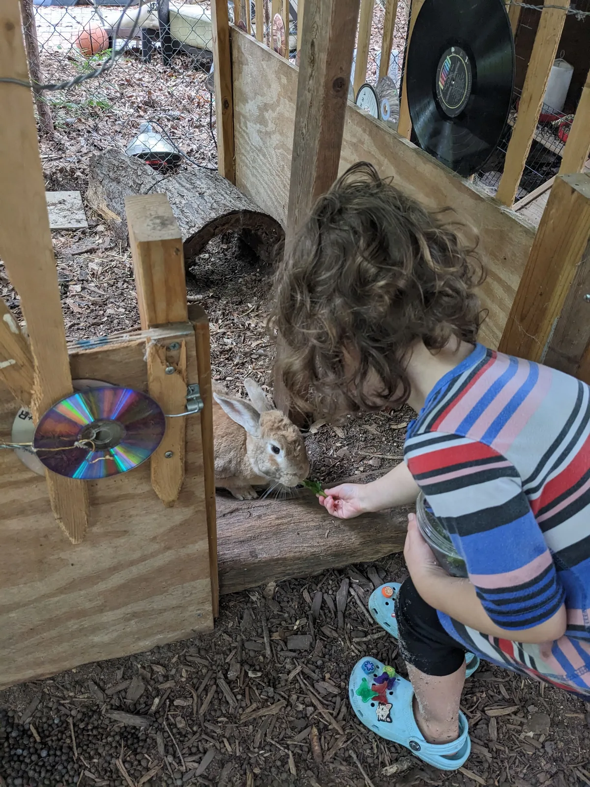 The Morningside School, Outdoors, Carrboro