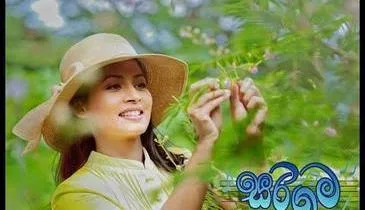 සරිගම backdrop