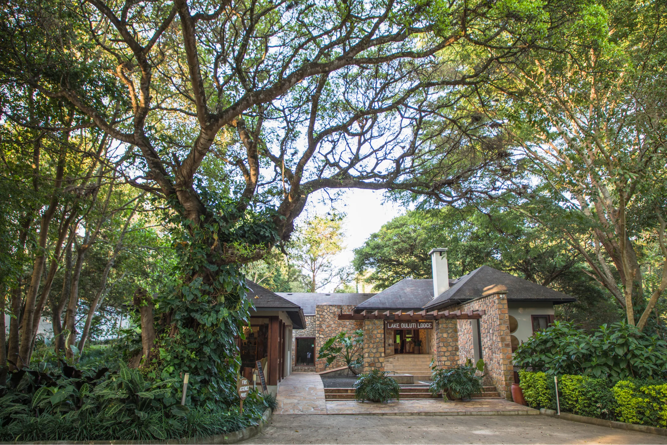 Property Image 8