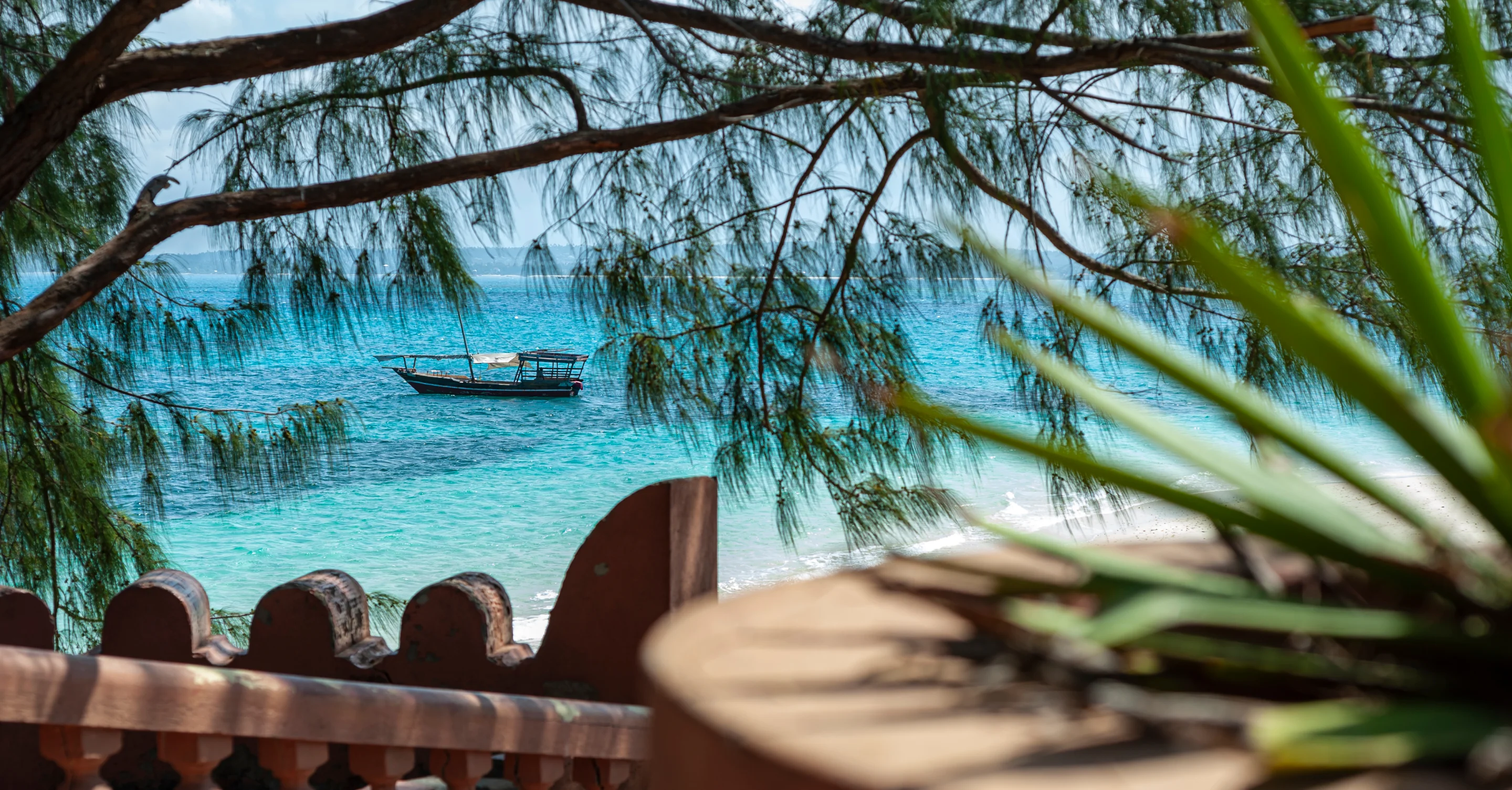 Zanzibar beach with traditional dhow boats