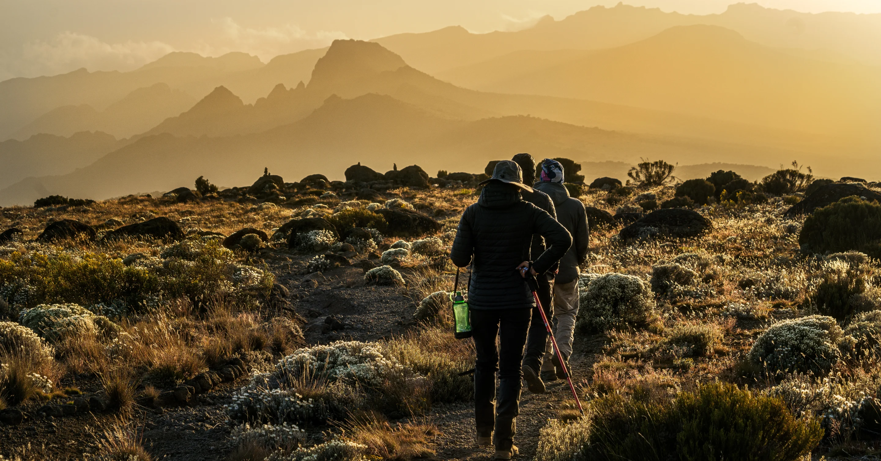 Mount Kilimanjaro hiking