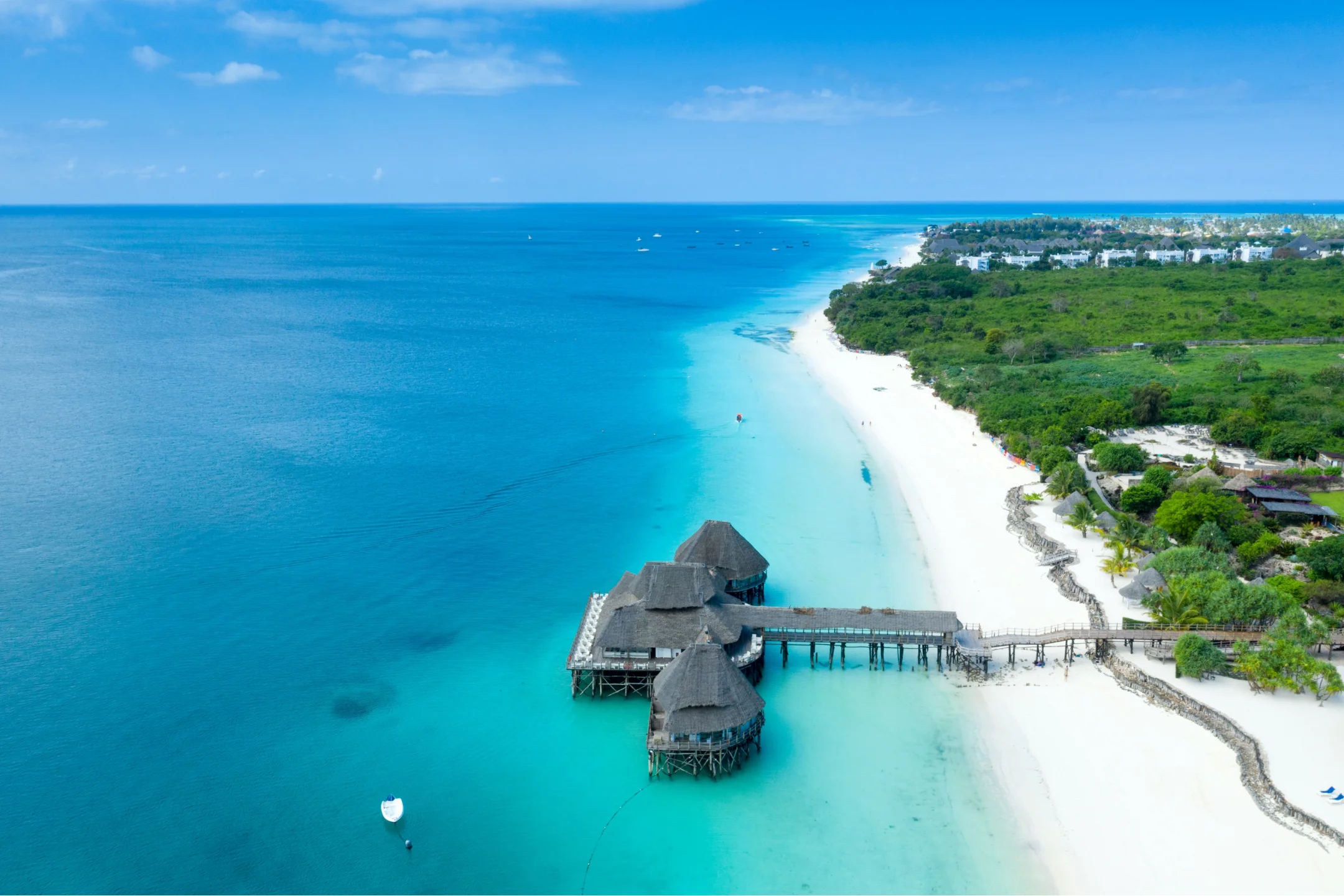 Beach Aerial View