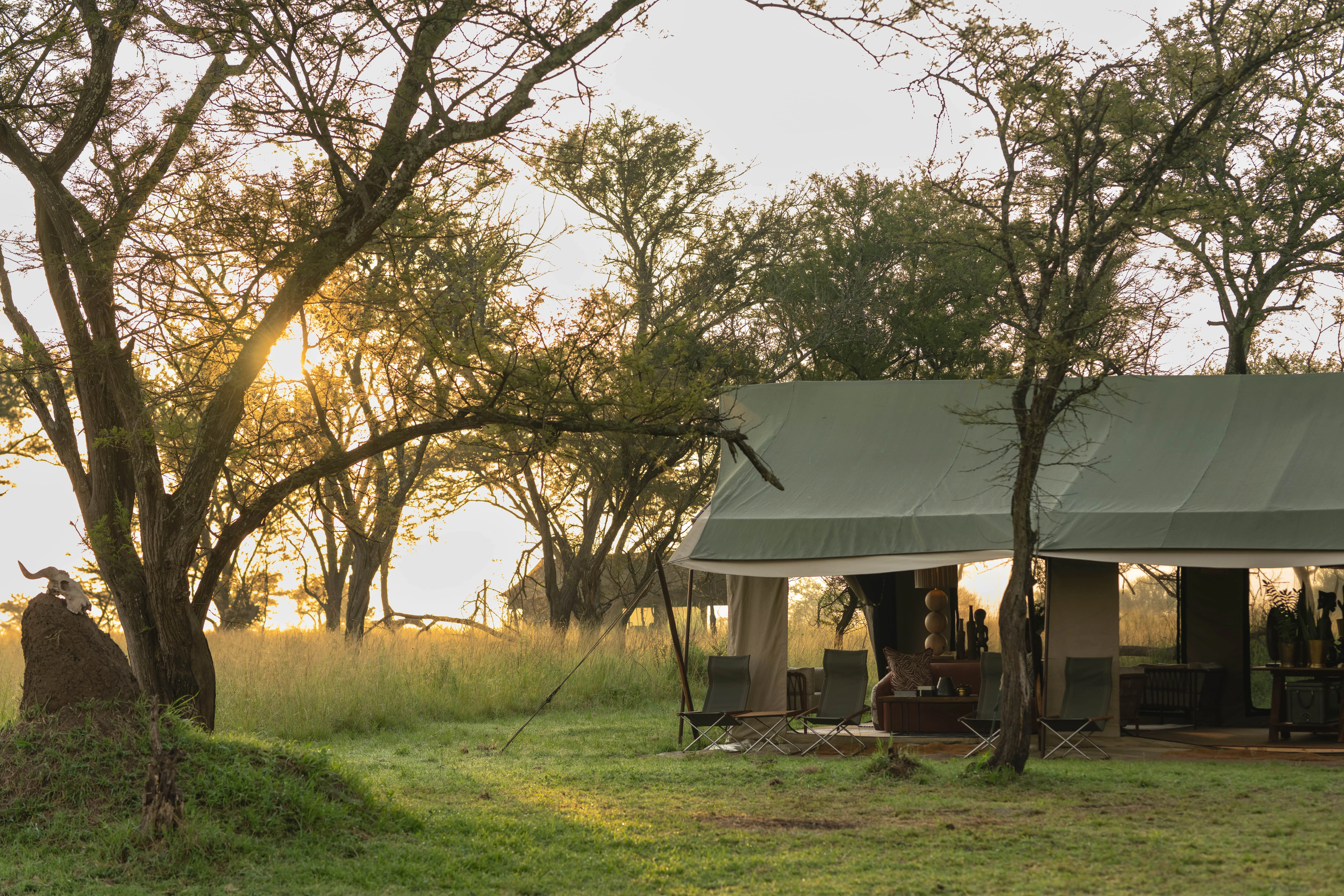 Private safari tent in the bush