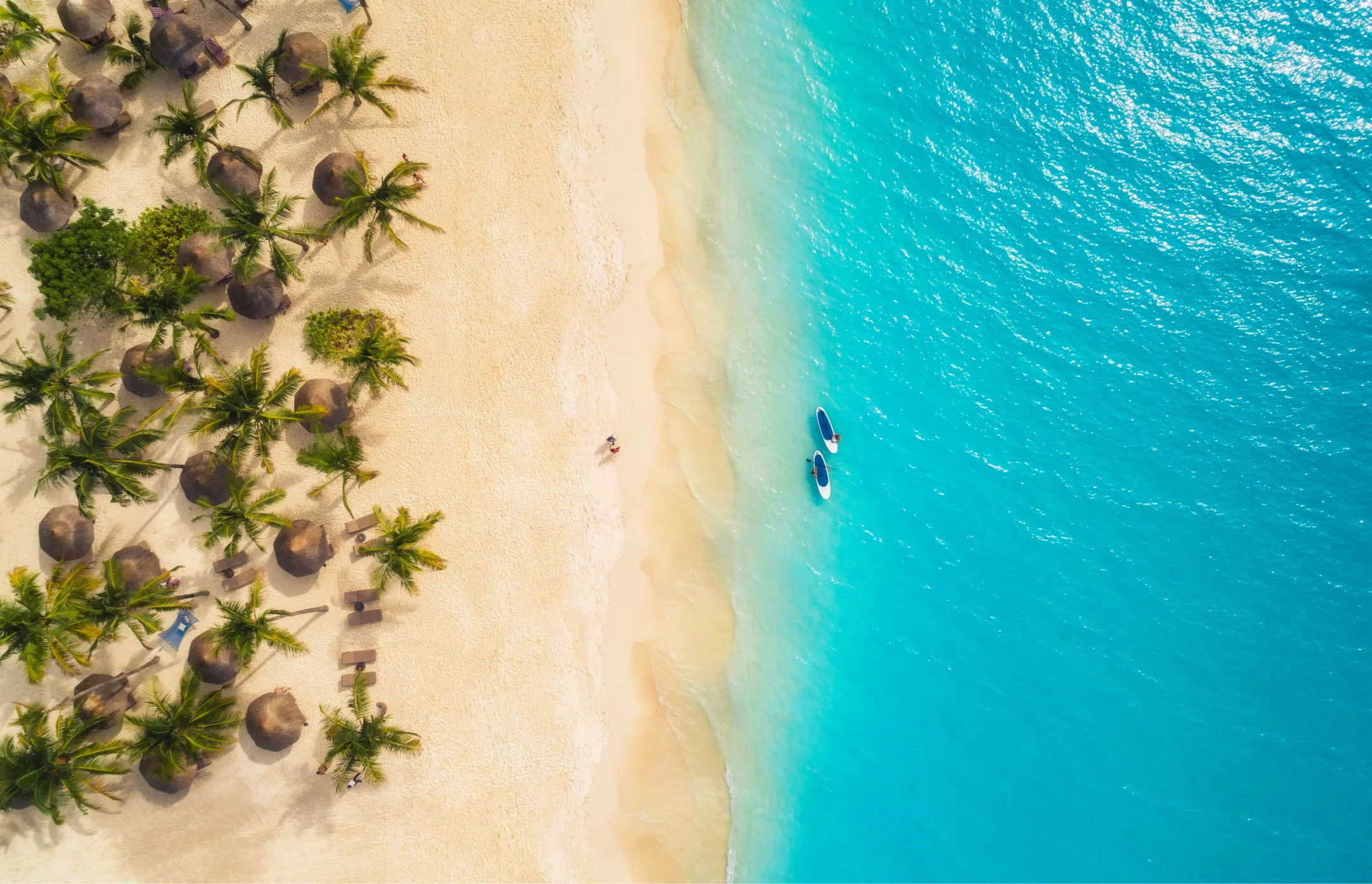 Tropical beach top view