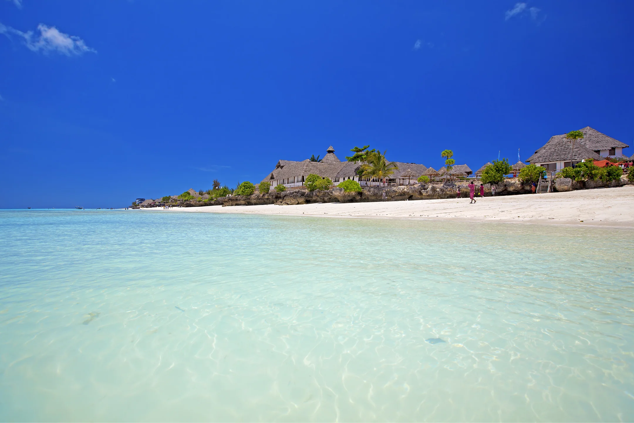 Beach resort along Zanzibar shoreline
