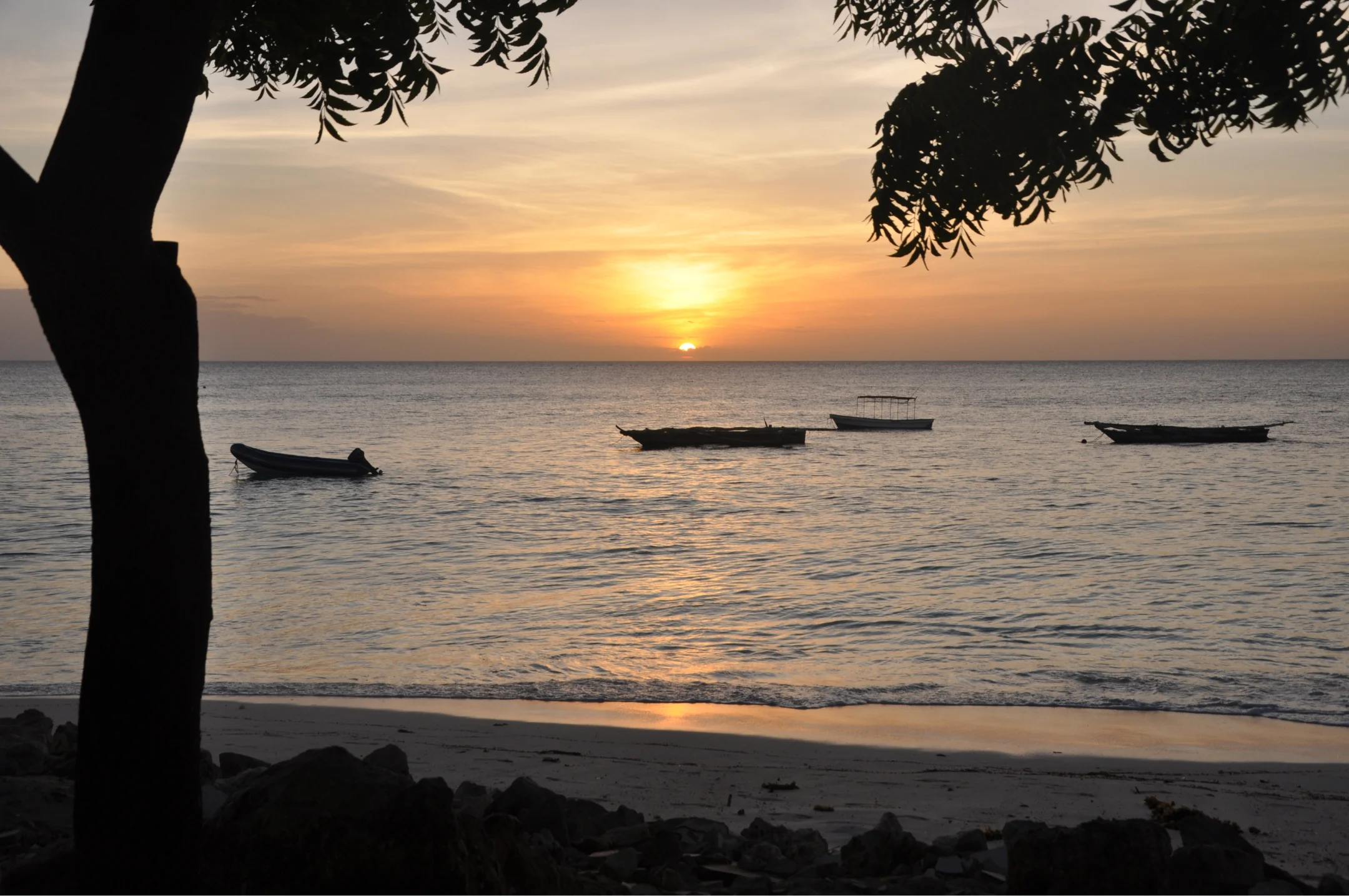 Boats on the ocean at sunset in Zanzibar