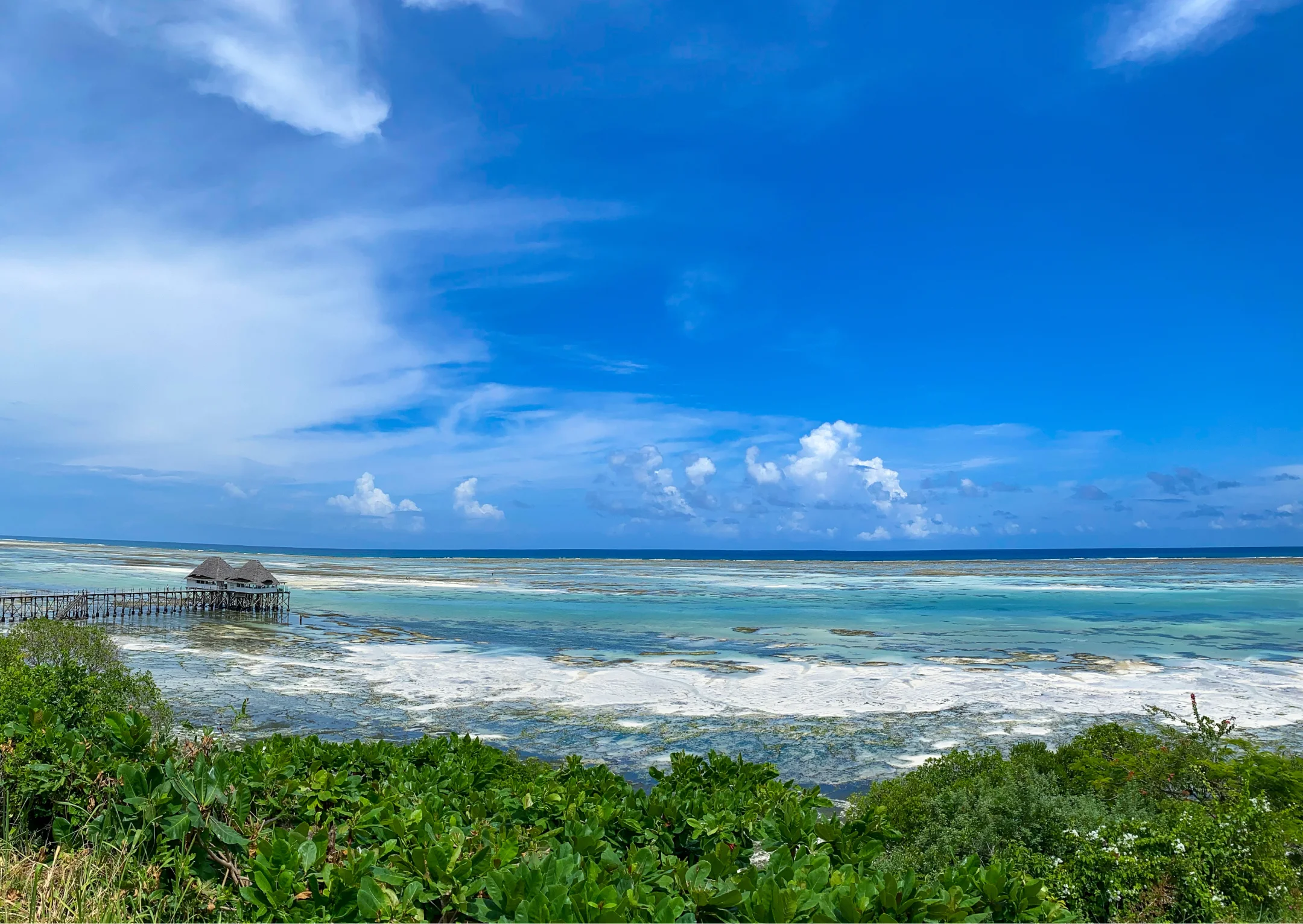 Zanzibar reef coastline view