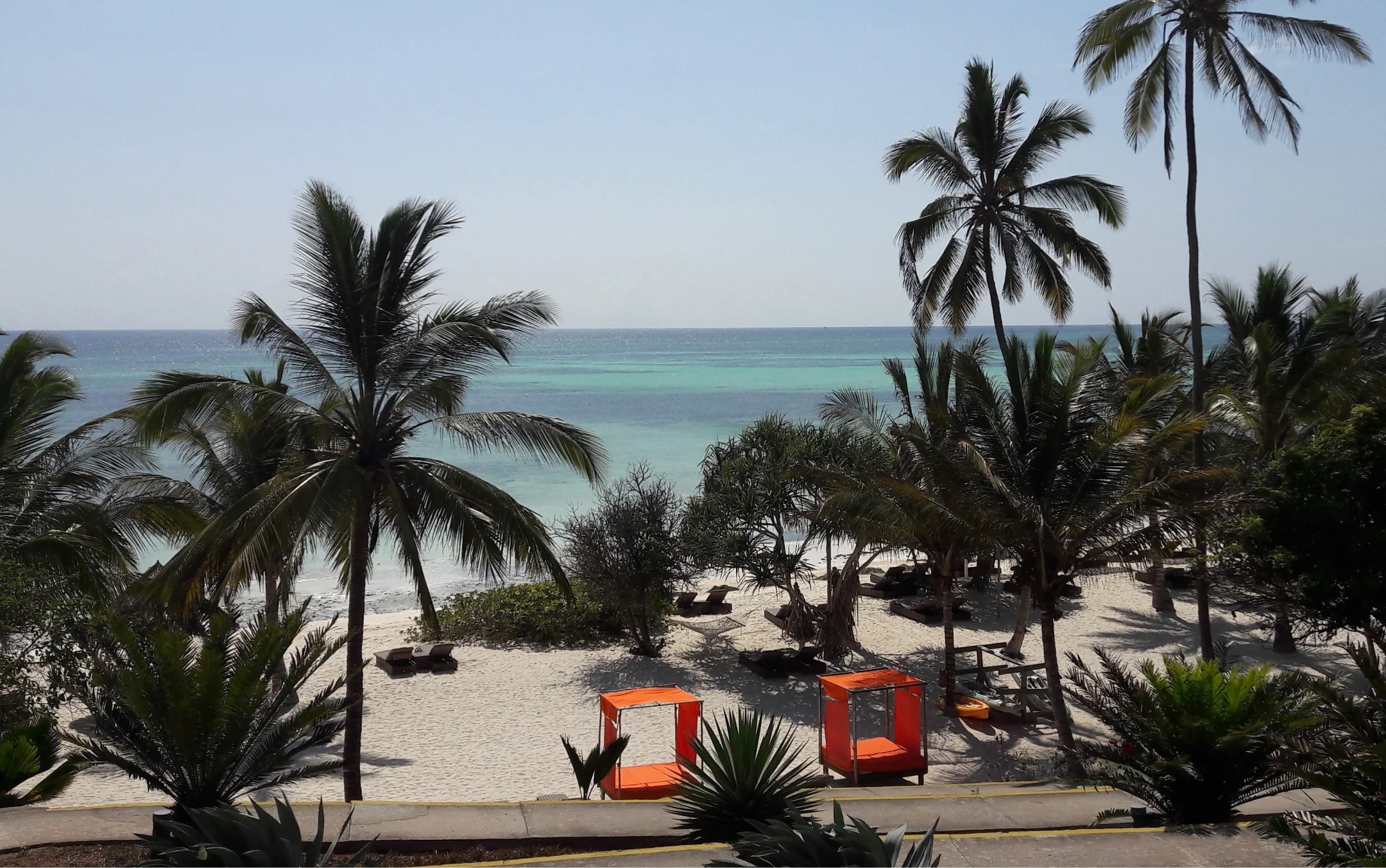 Palm beach Zanzibar