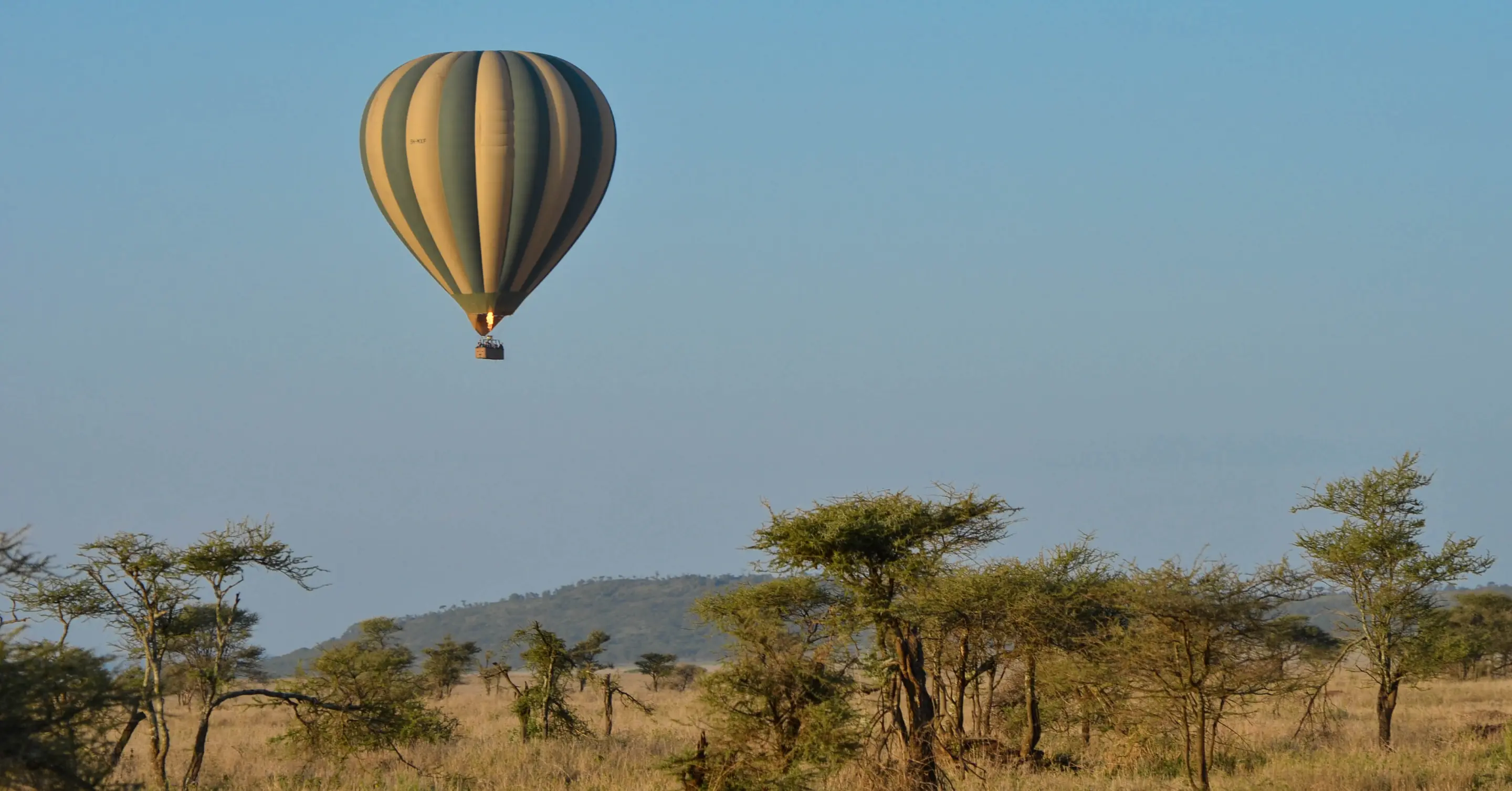 Adventure Safari Experience in Tanzania