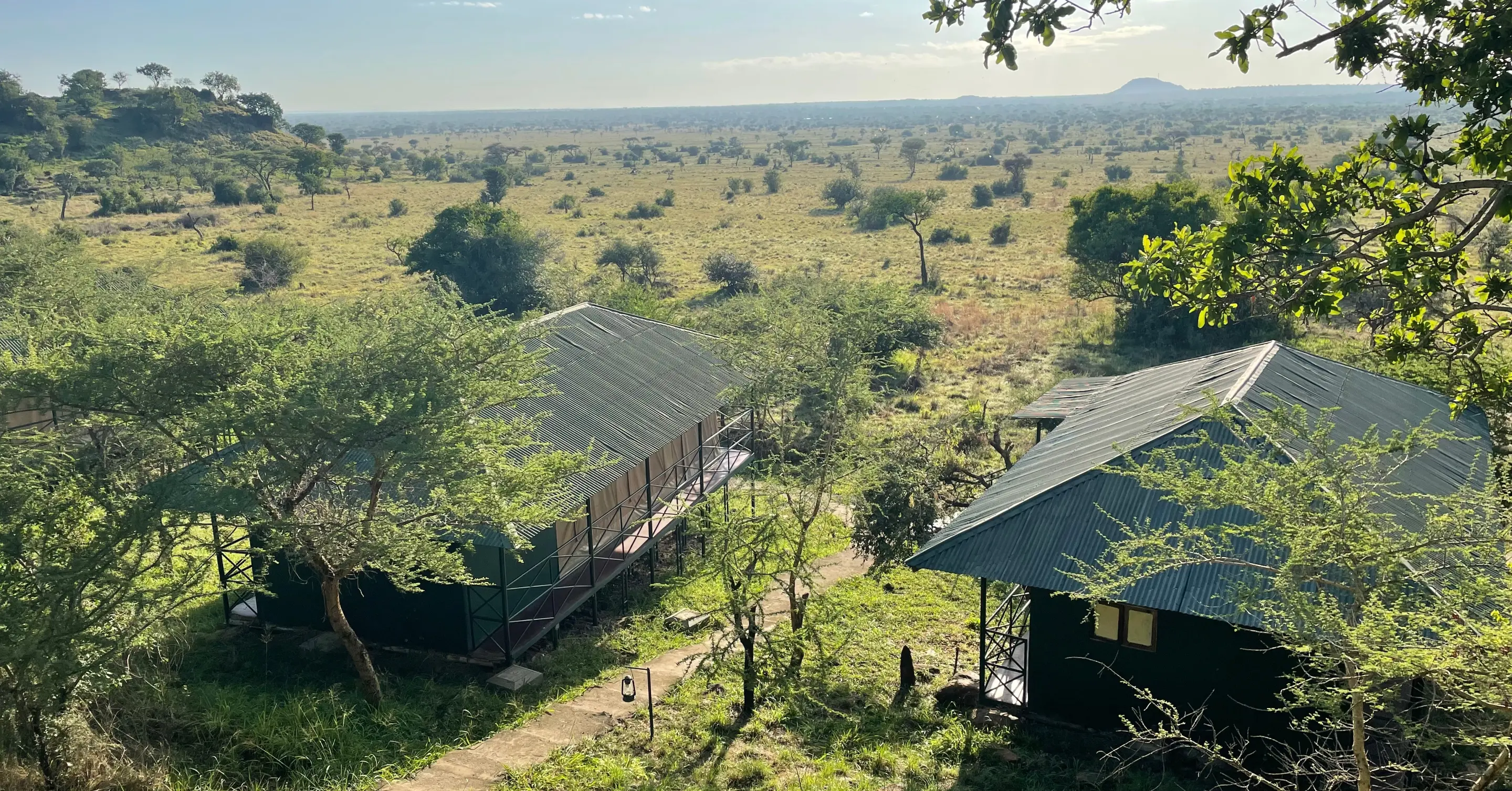 Luxury Safari Short Stay in Tanzania