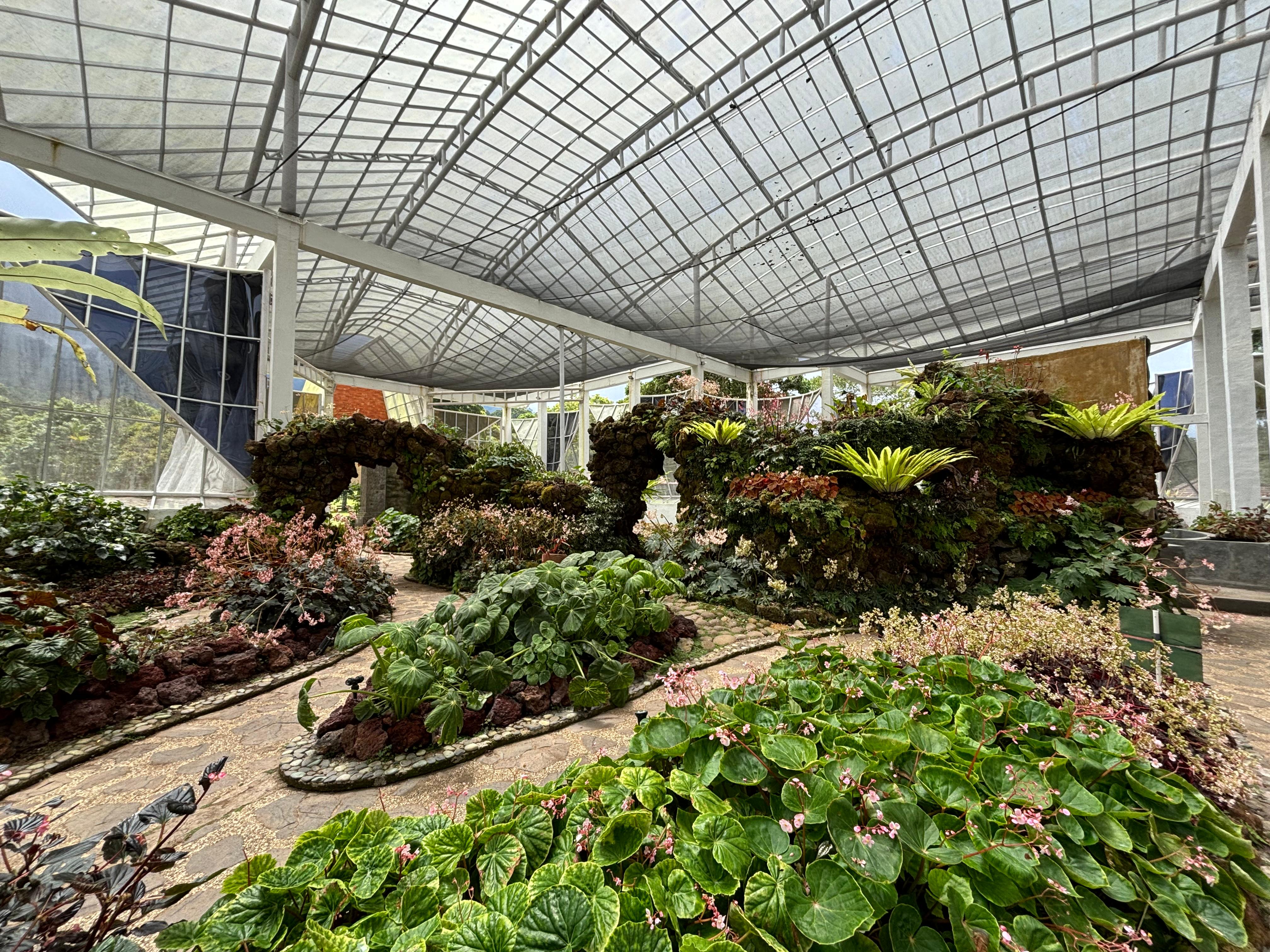 gallery-photo