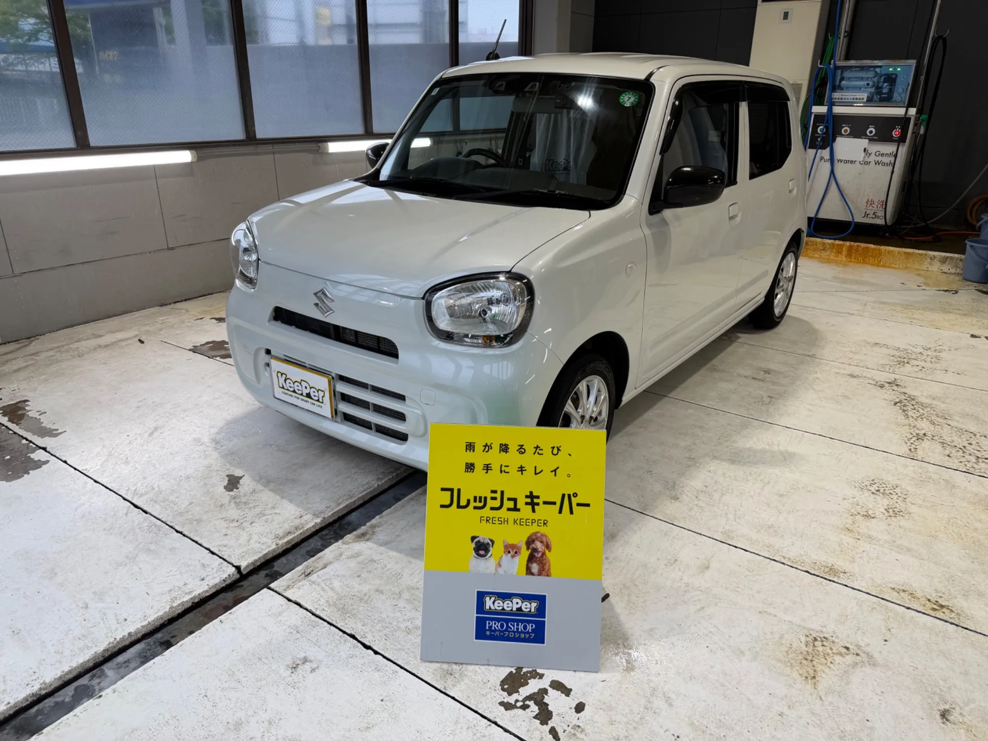 スズキ アルト ホワイト 淡色系 経年車 フレッシュキーパー ガラスコーティング