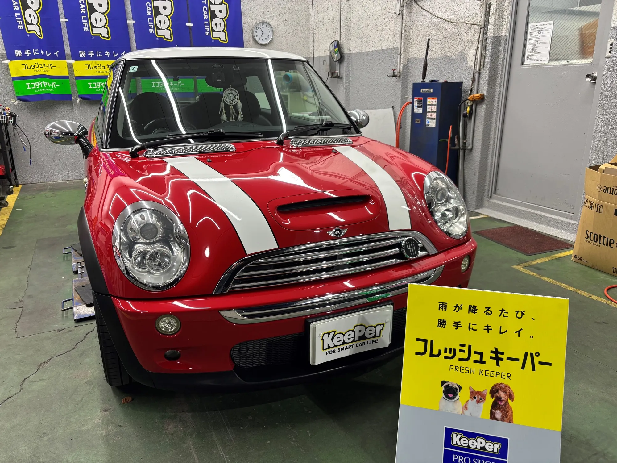 BMW　MINIのカーコーティング施工事例