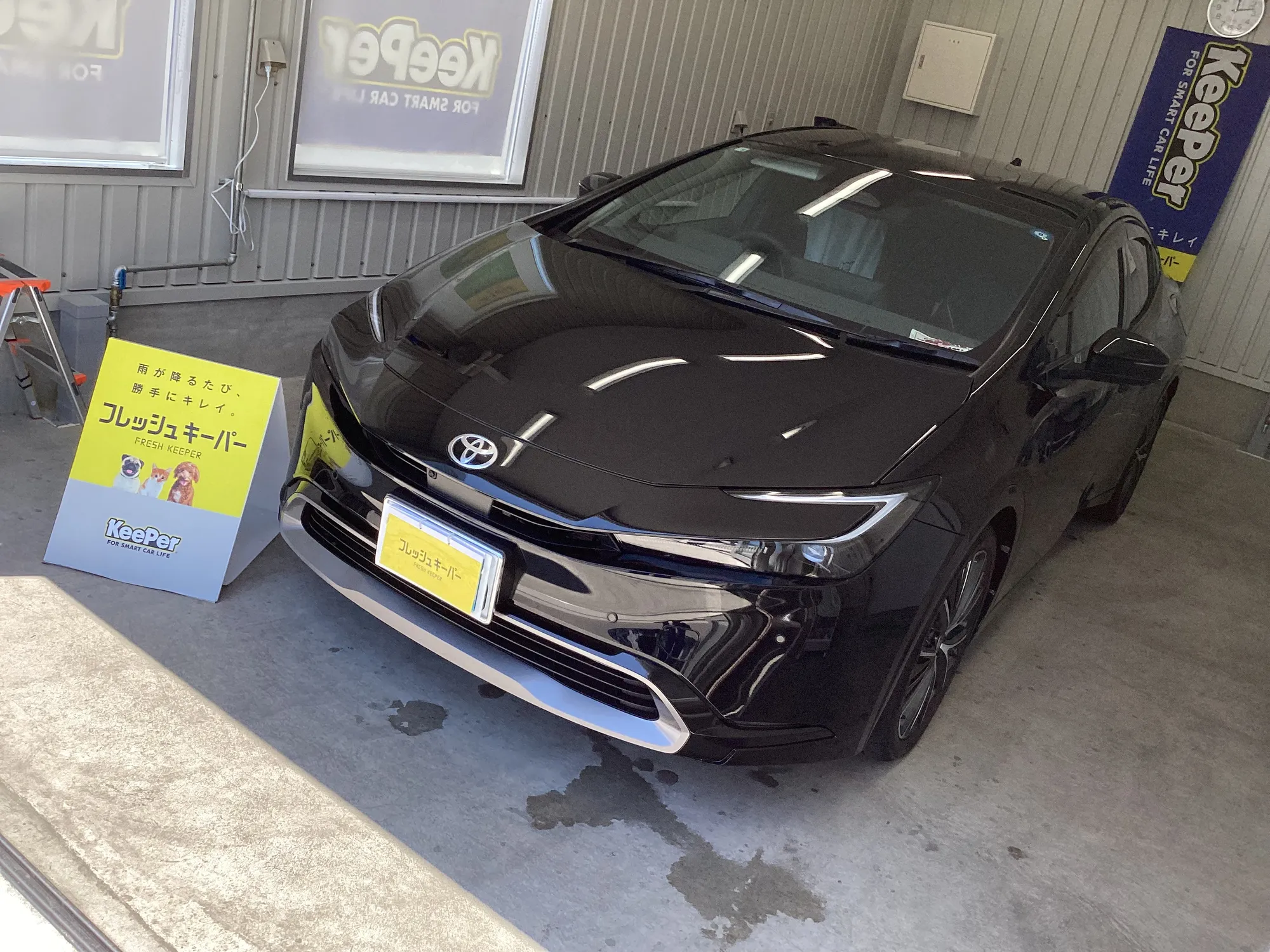 トヨタ　プリウスのカーコーティング施工事例