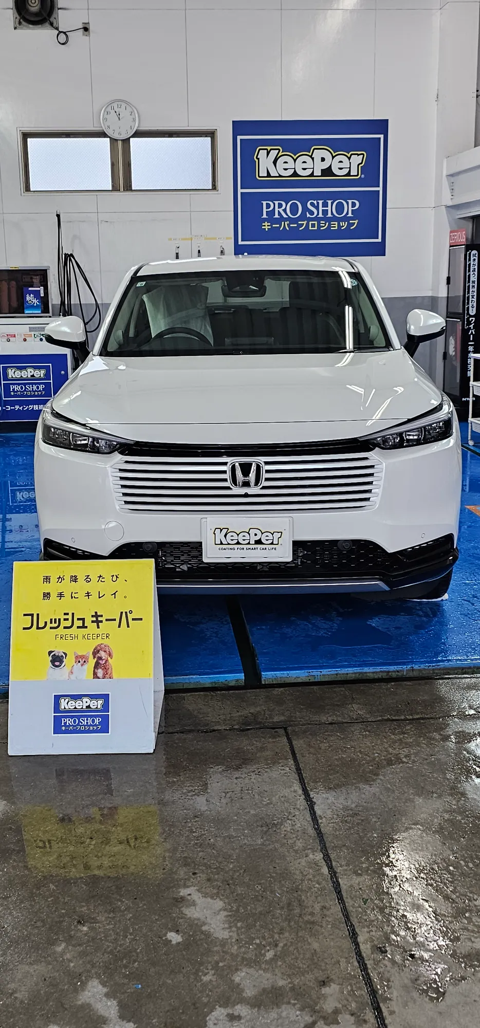 フレッシュ