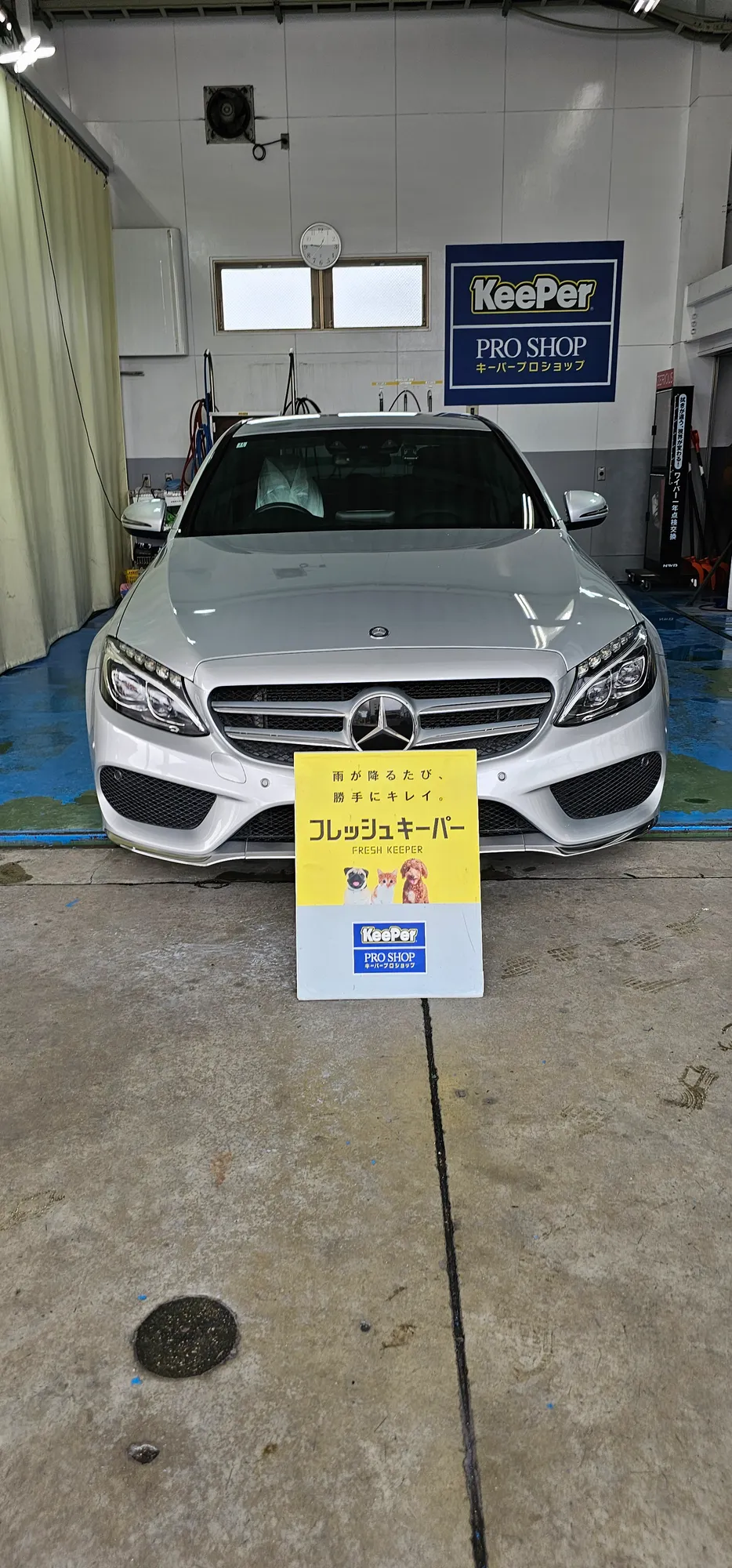 フレッシュ