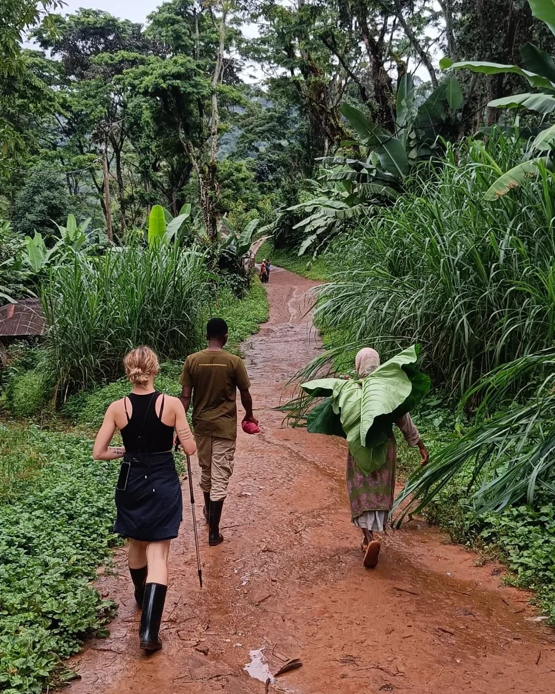 Burka Coffee Estate 4