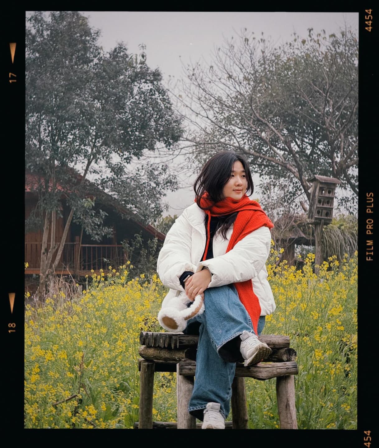 Diary: A day as Little Red Riding Hood ✨ 2