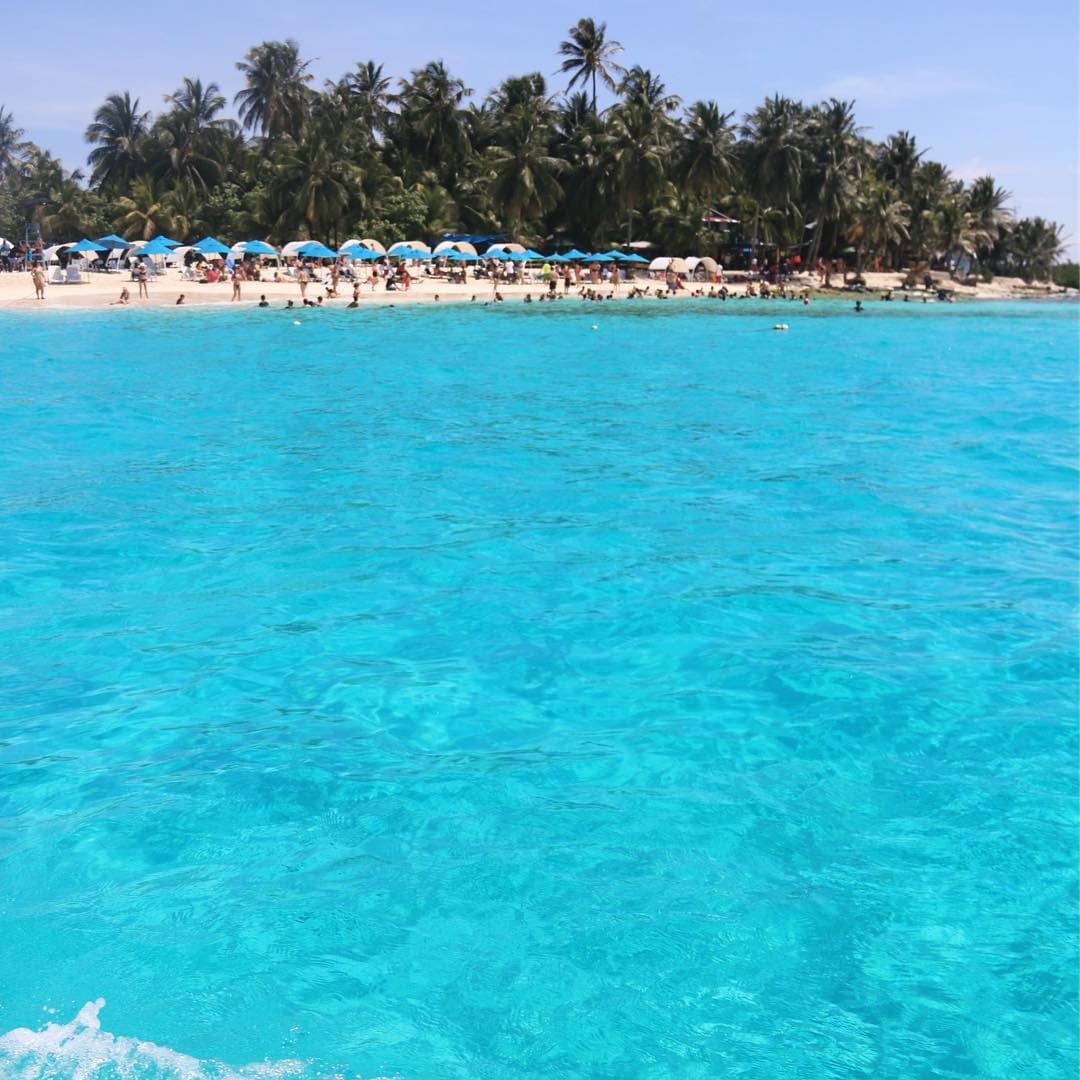 Our Bluest Water Discovery