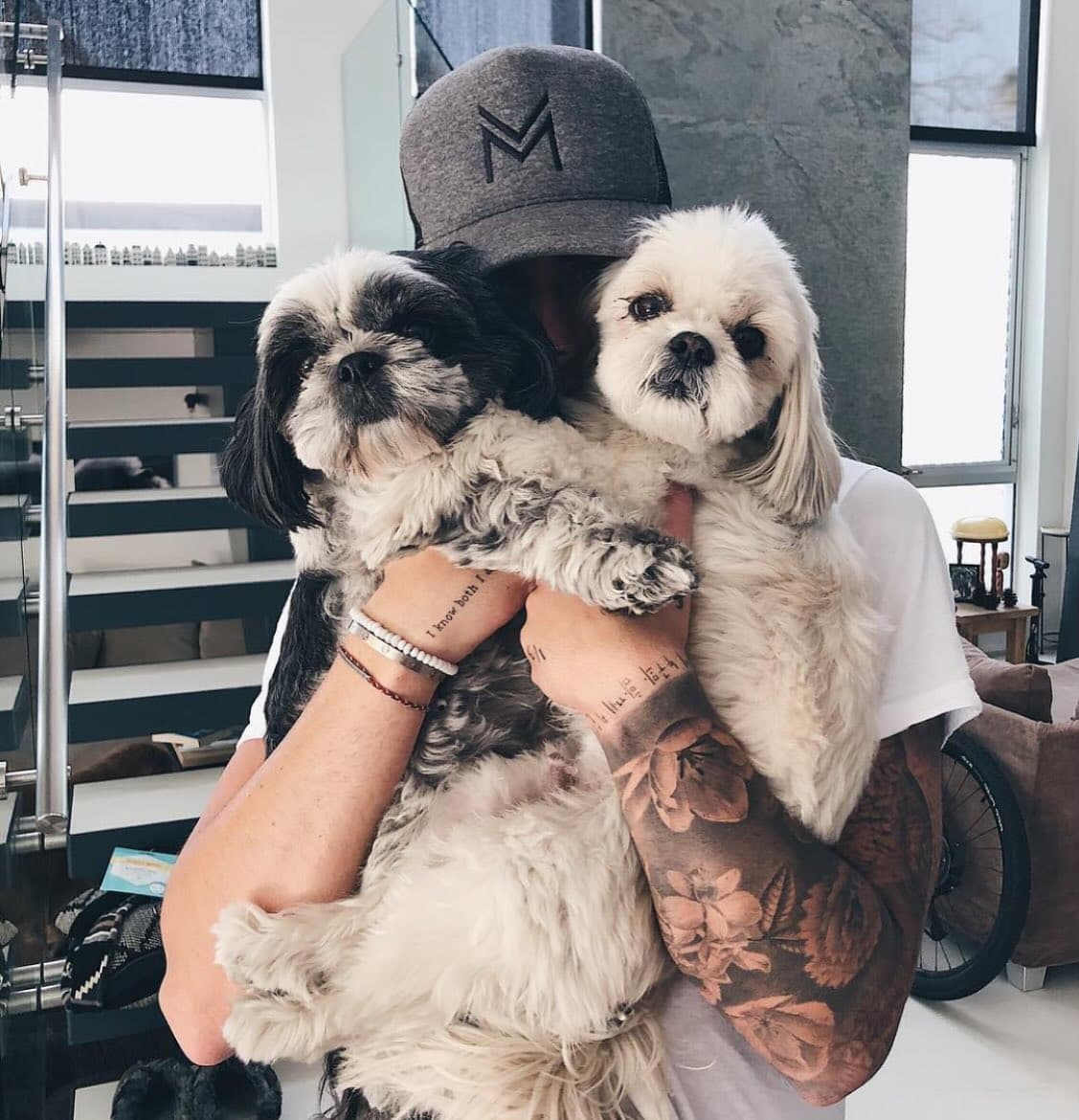 Phuket Beach Pups Map