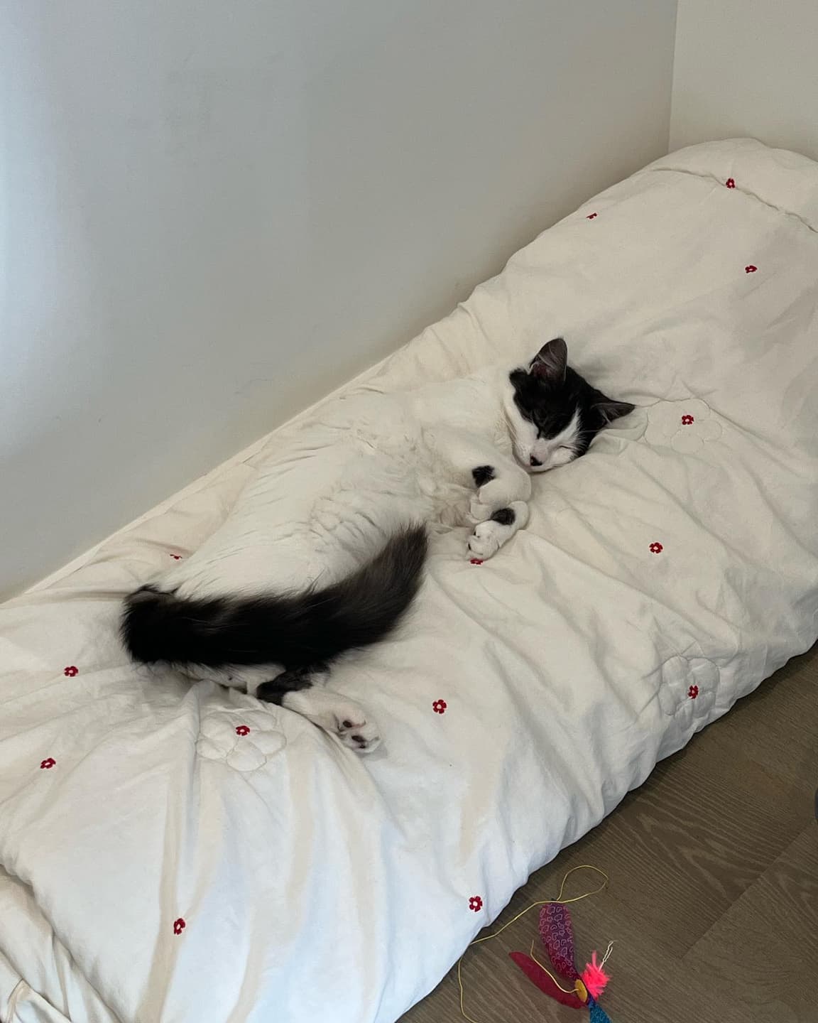 This 6