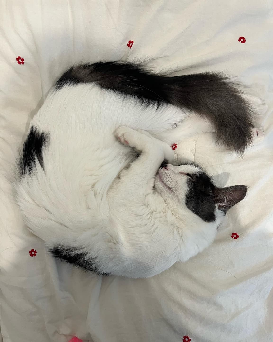 This 7