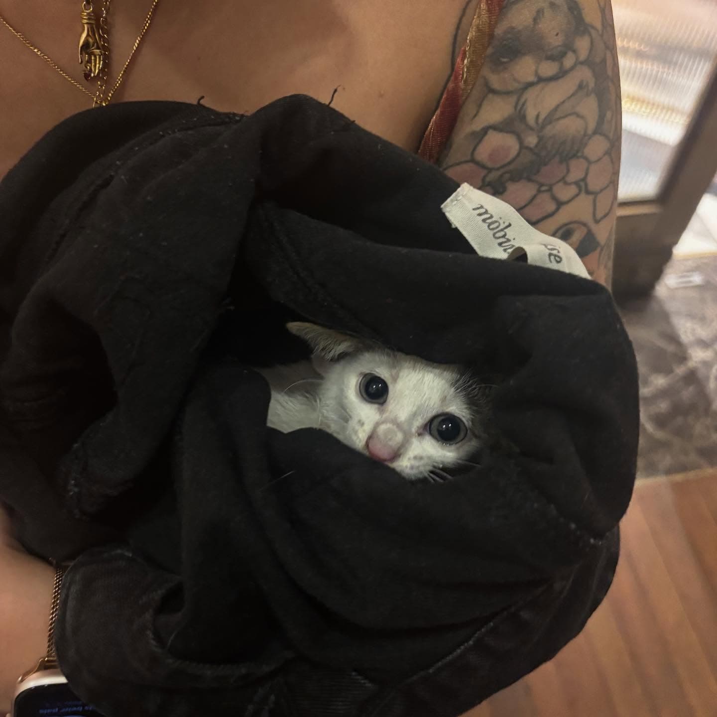 Miaow! 3