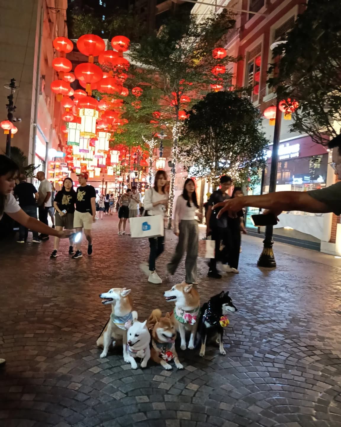 Lee Tung Avenue Lanterns Map 7