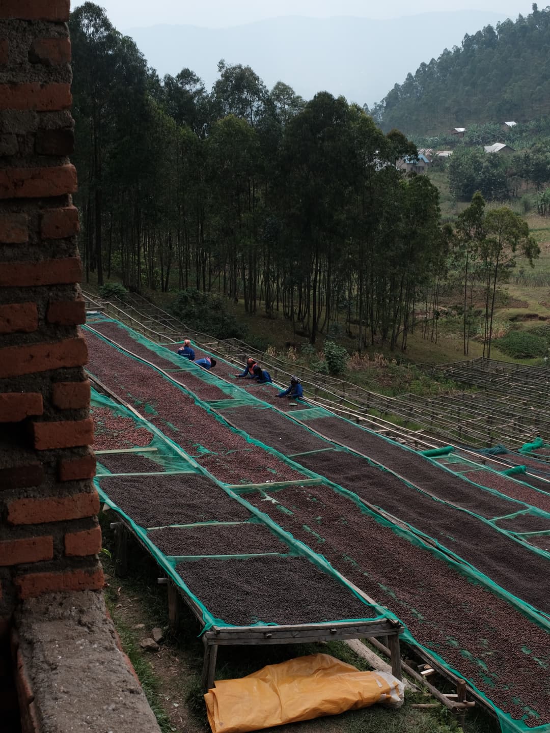 Rwanda Coffee Trip 5