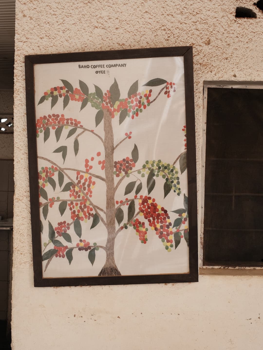 Rwanda Coffee Trip 7