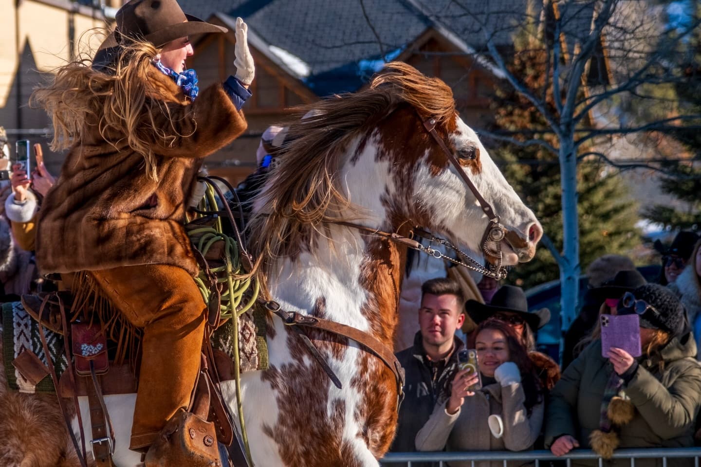 Skijoring