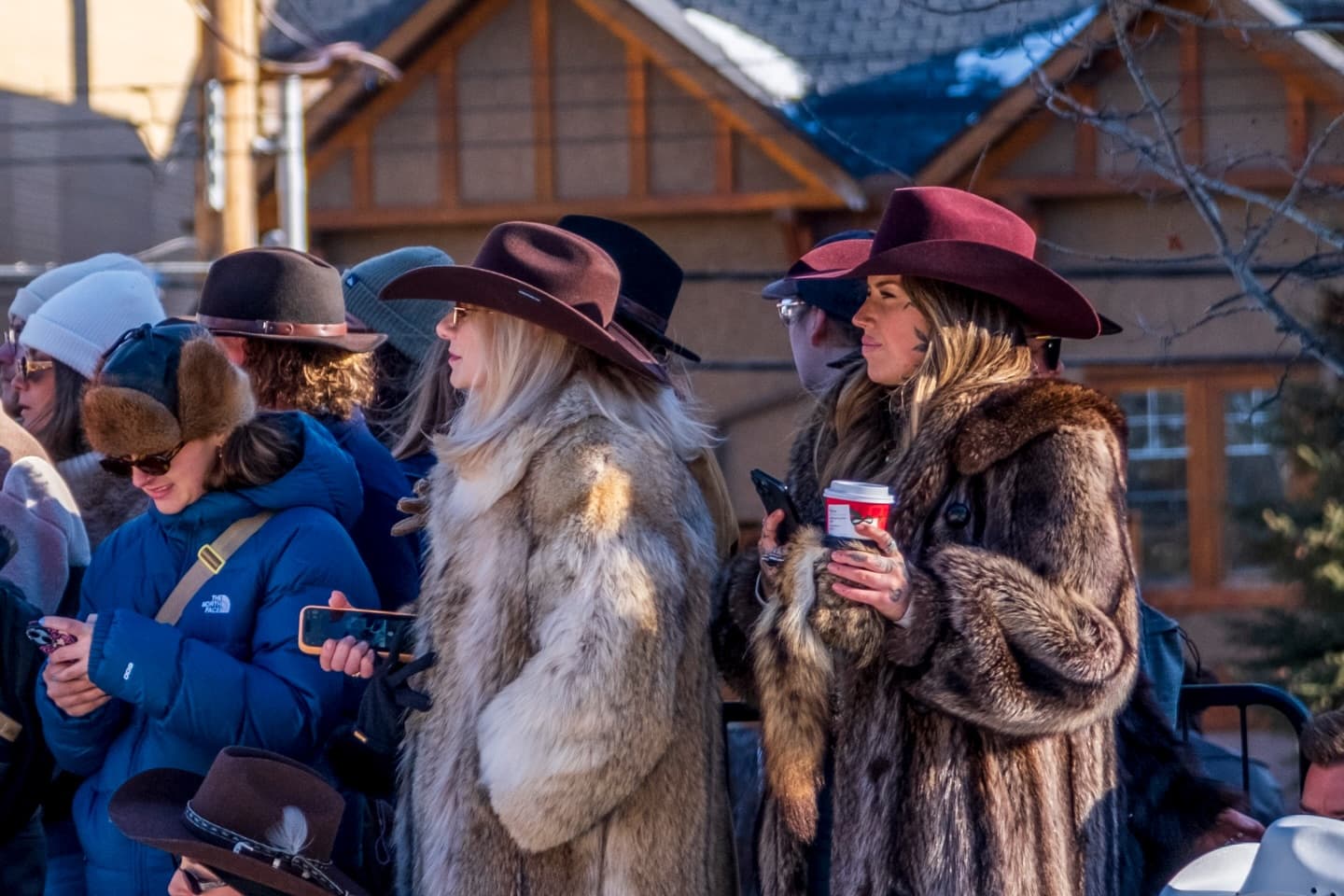 Skijoring 2