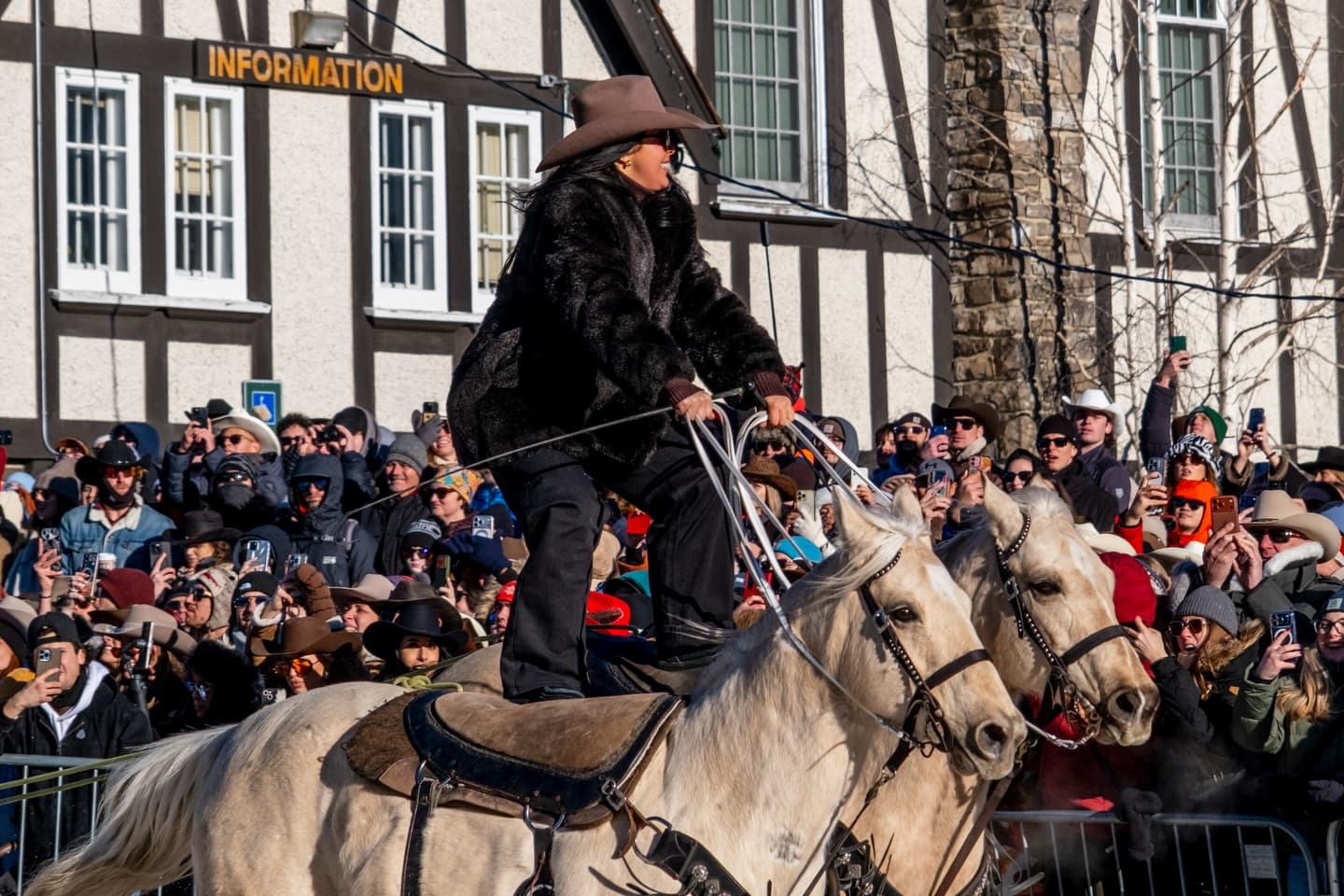 Skijoring 3