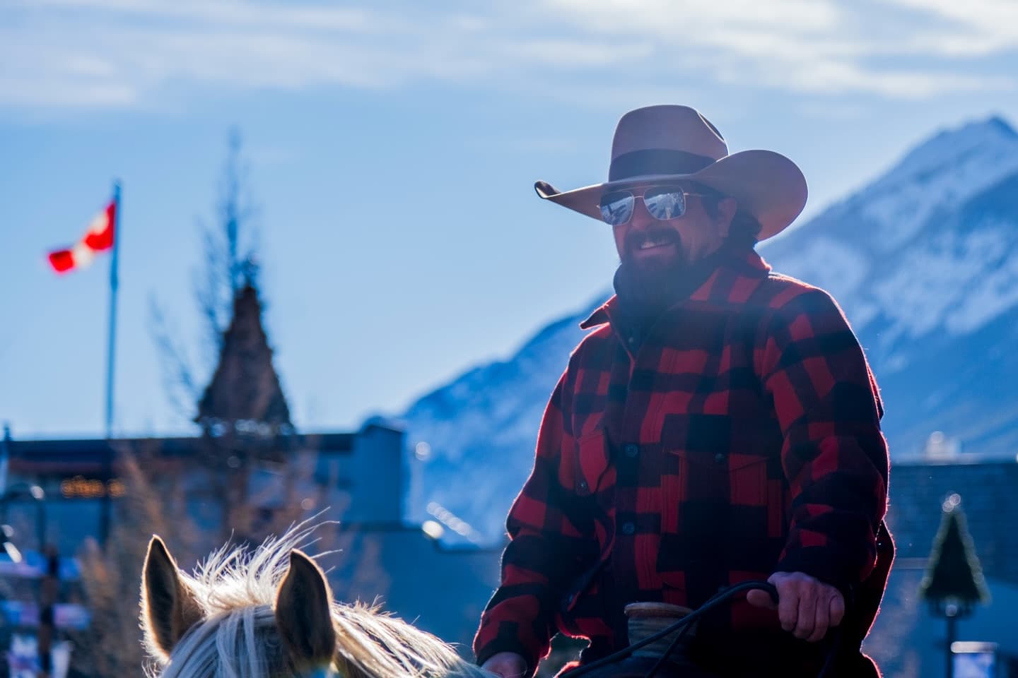 Skijoring 4