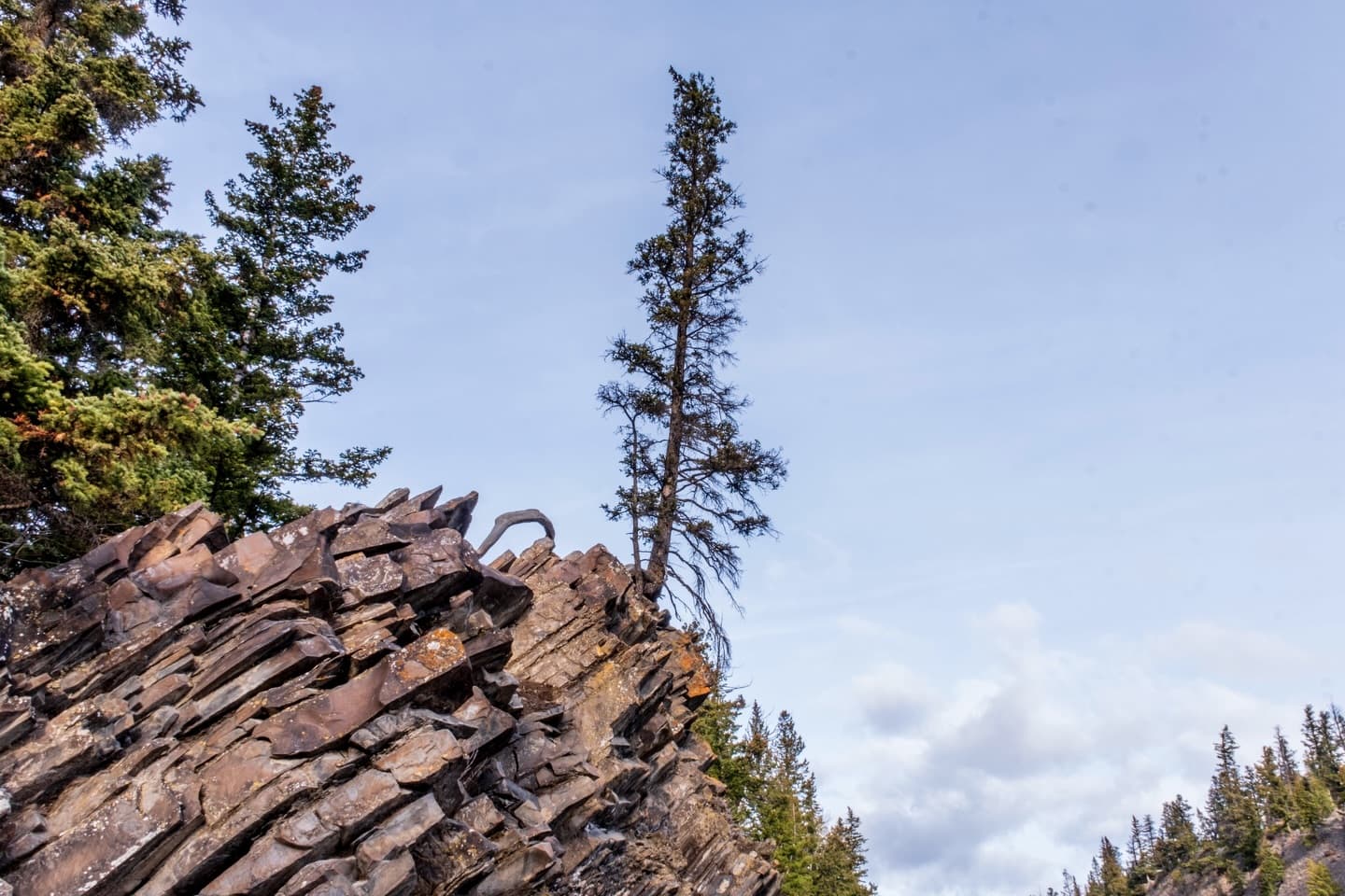 Banff, 7