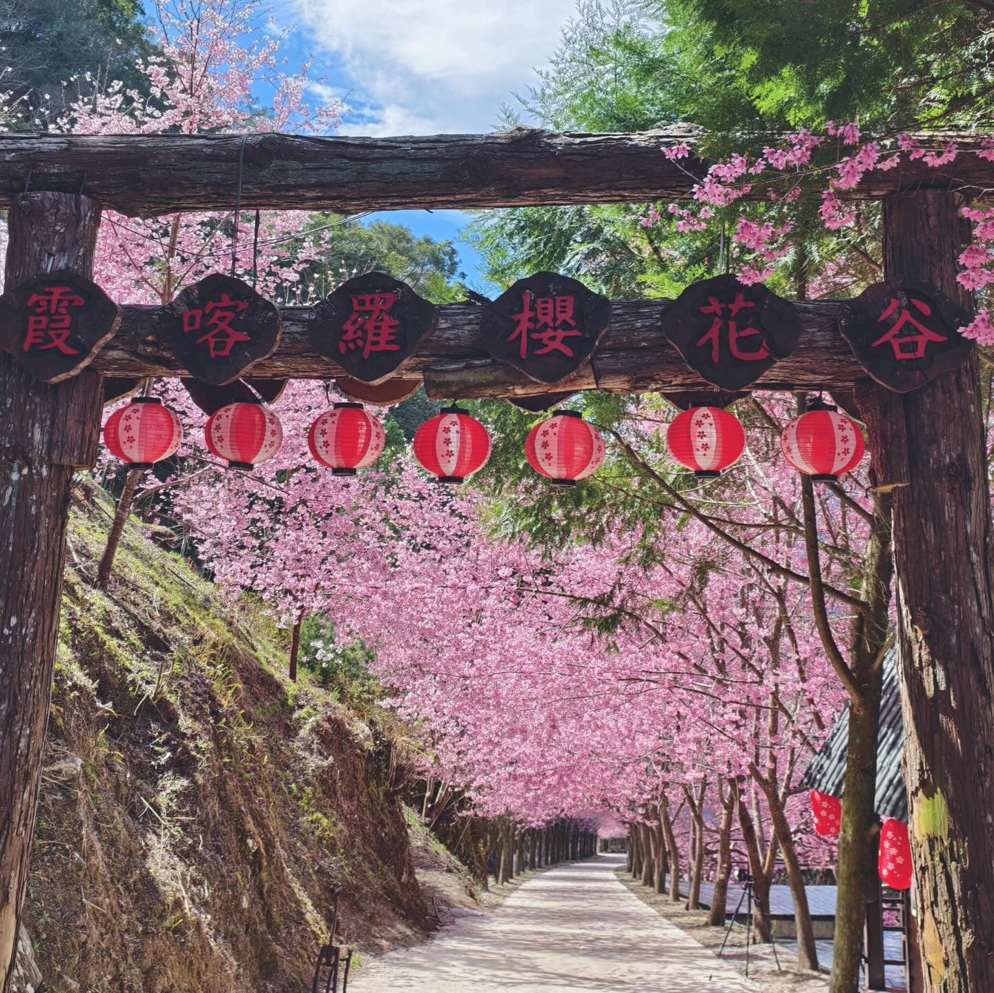 A post on Yuno