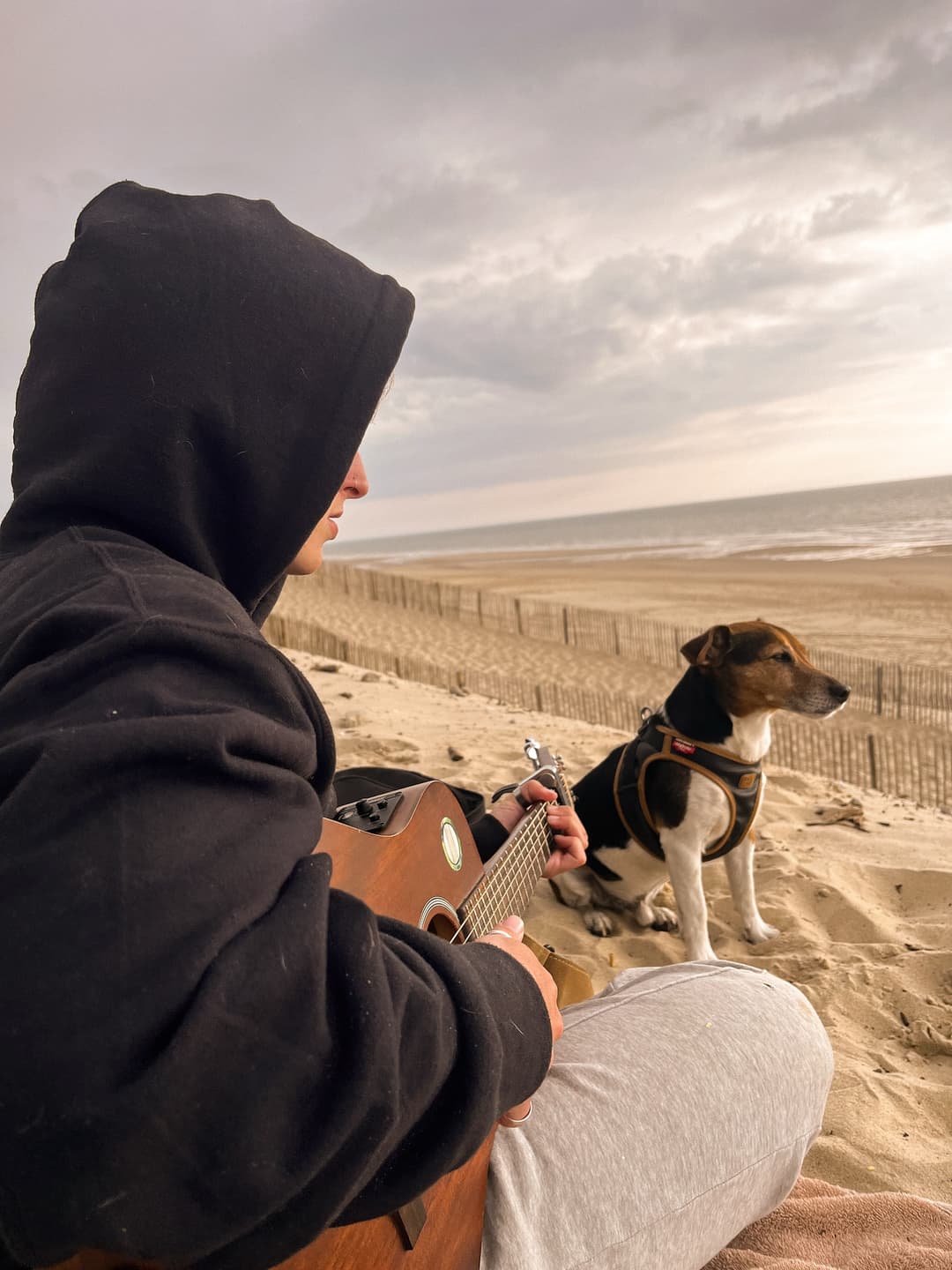 Let's go to the beach with the dog! 2