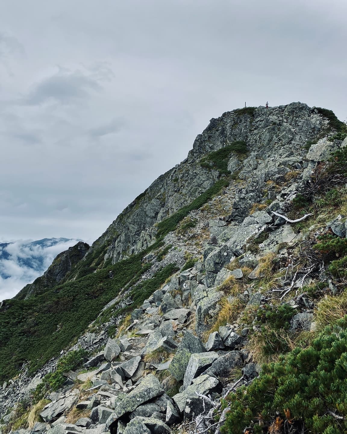 Hiking records after immigration 2